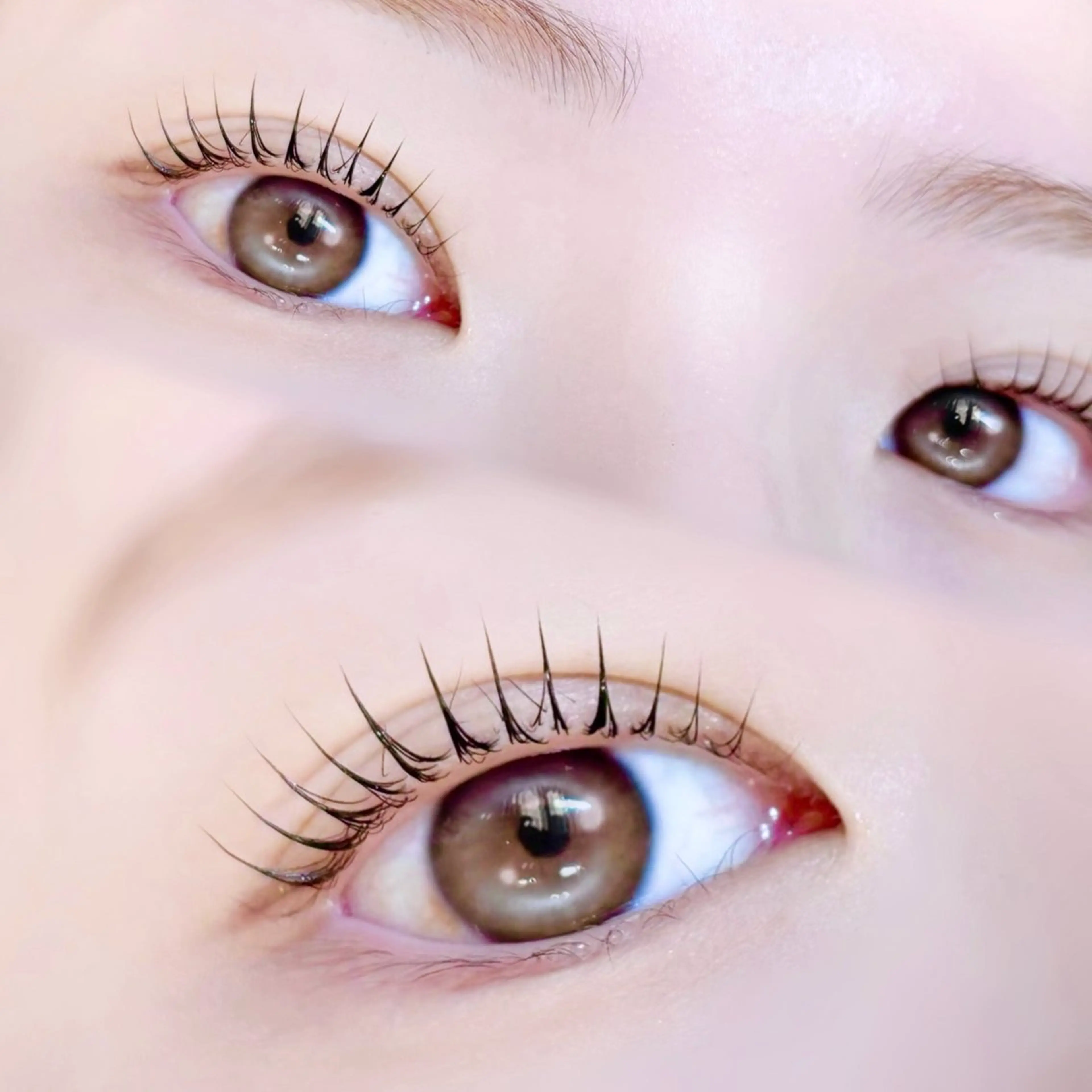 🎀【ご新規様限定】束感ラッシュリフトorパリジェンヌ🎀の写真