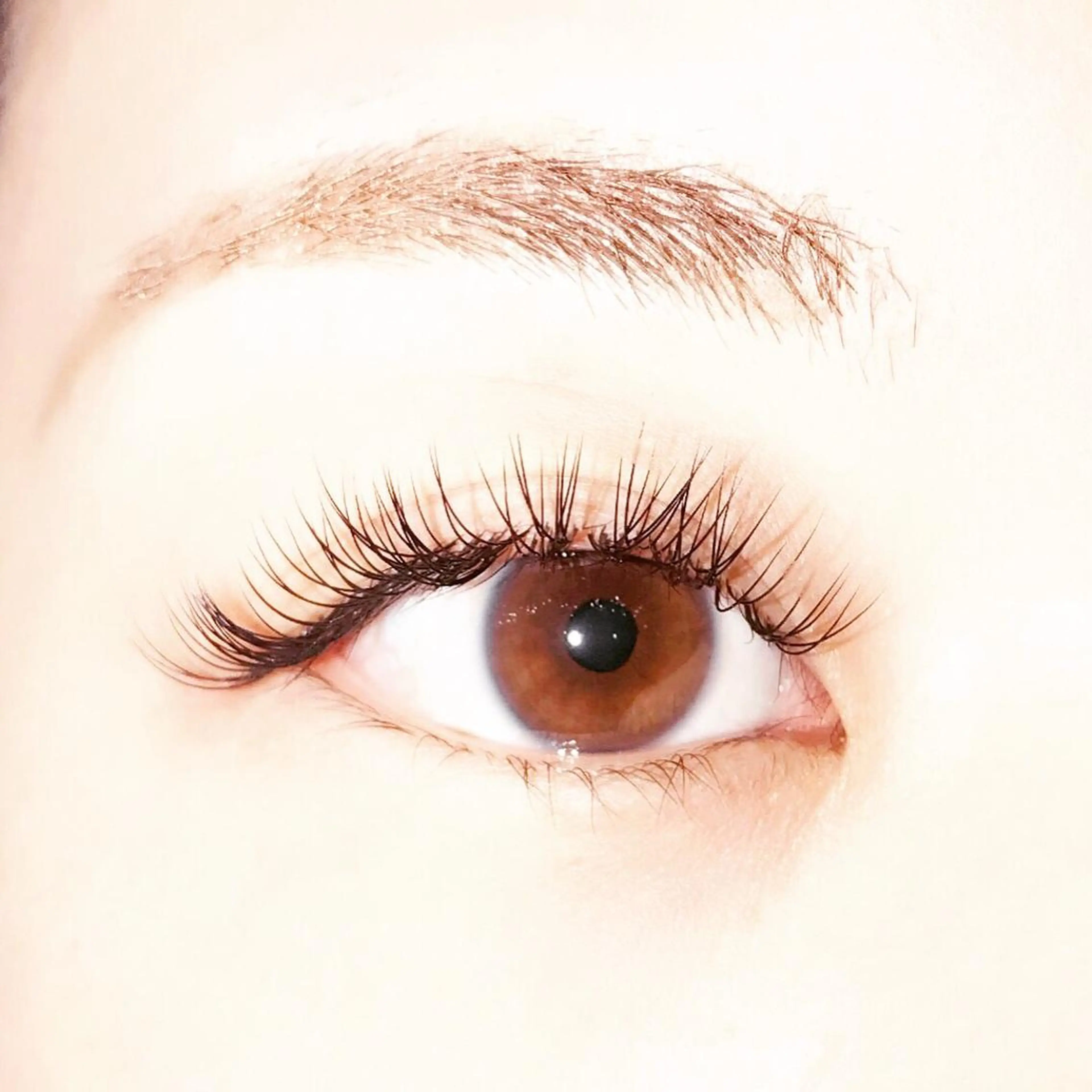 マツエク・マツパ eyelash Lunoのマツエク・マツパデザイン