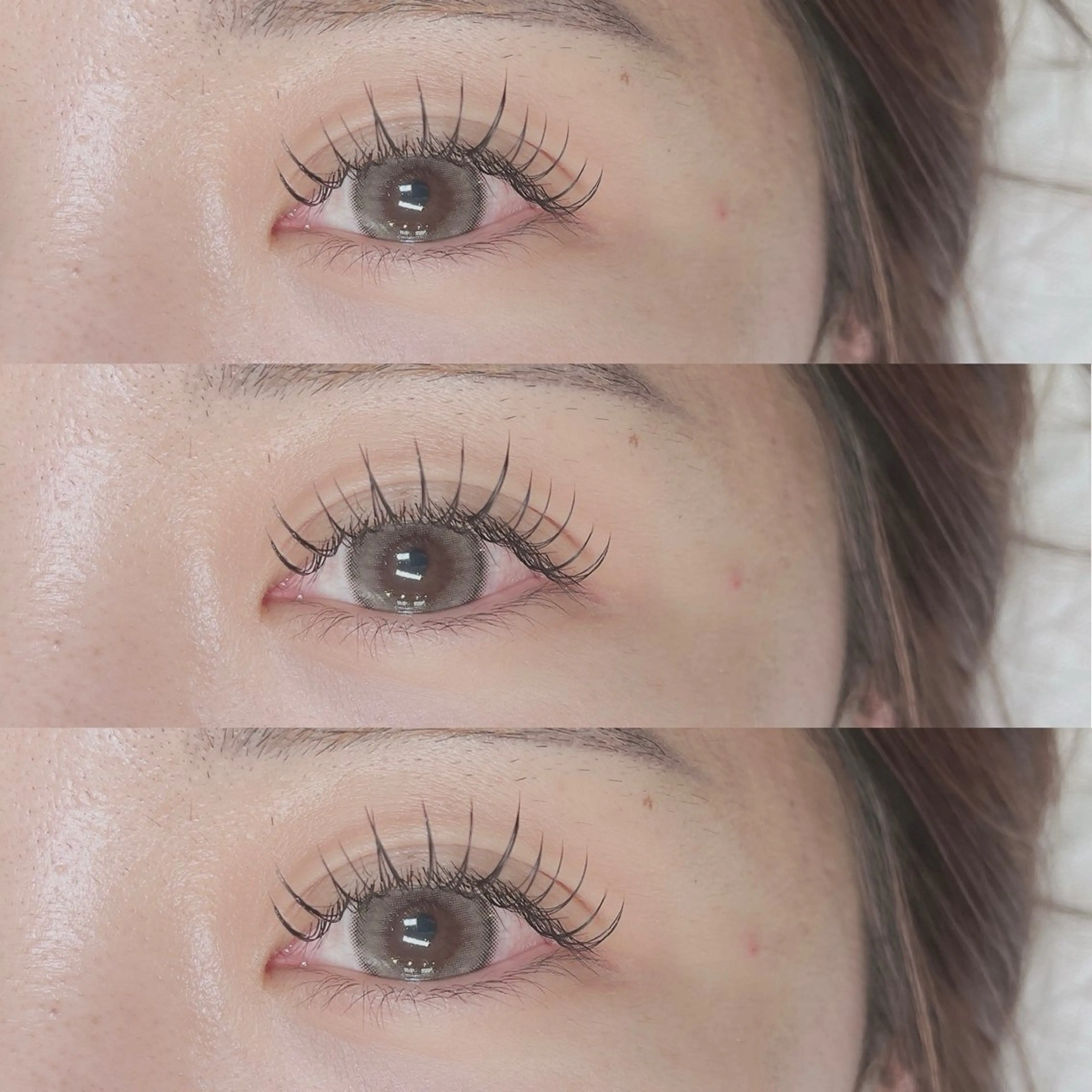 フラットラッシュ120本の写真