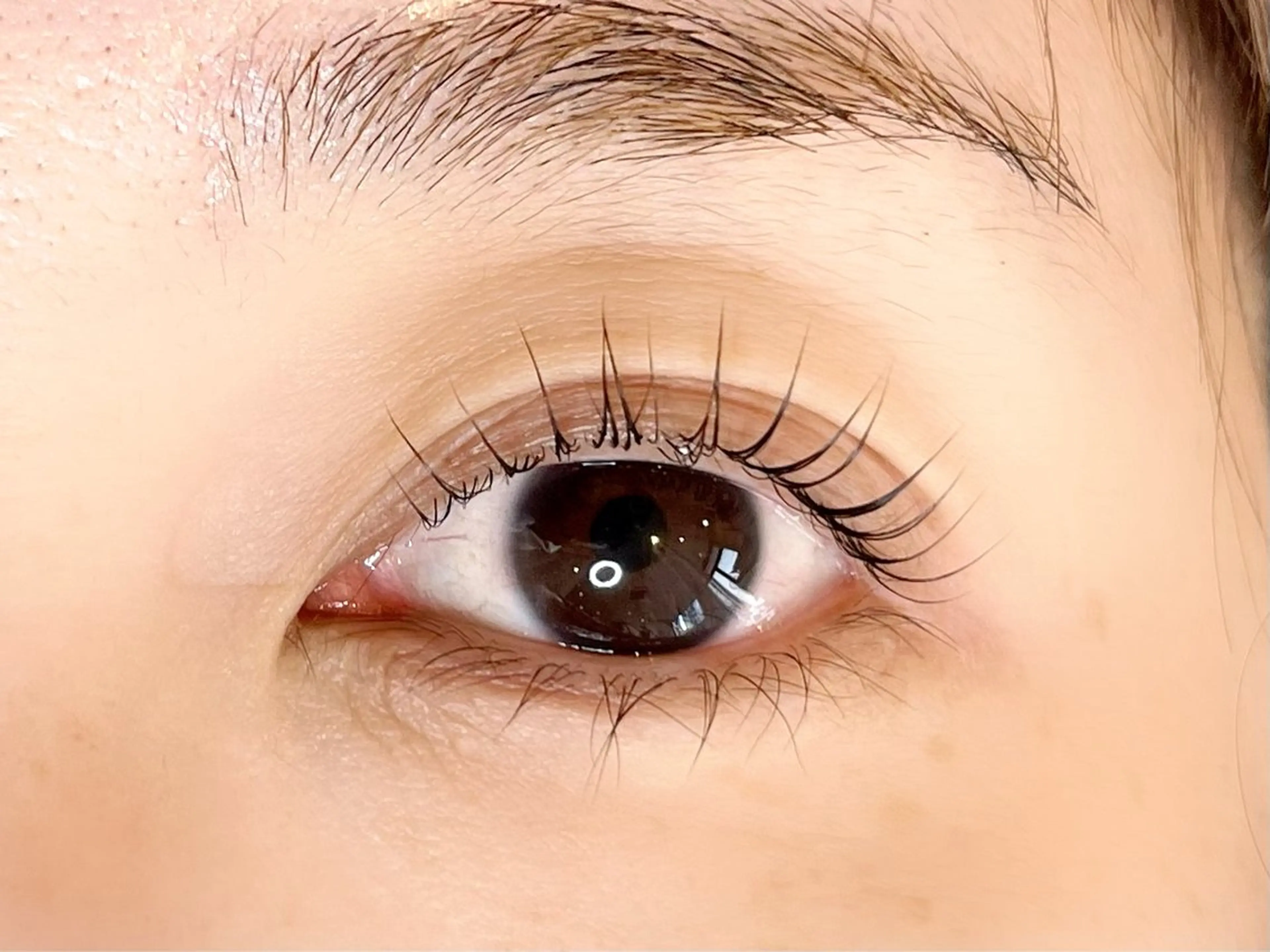 マツエク・マツパ マツパ eyelash LOOPのマツエク・マツパデザイン