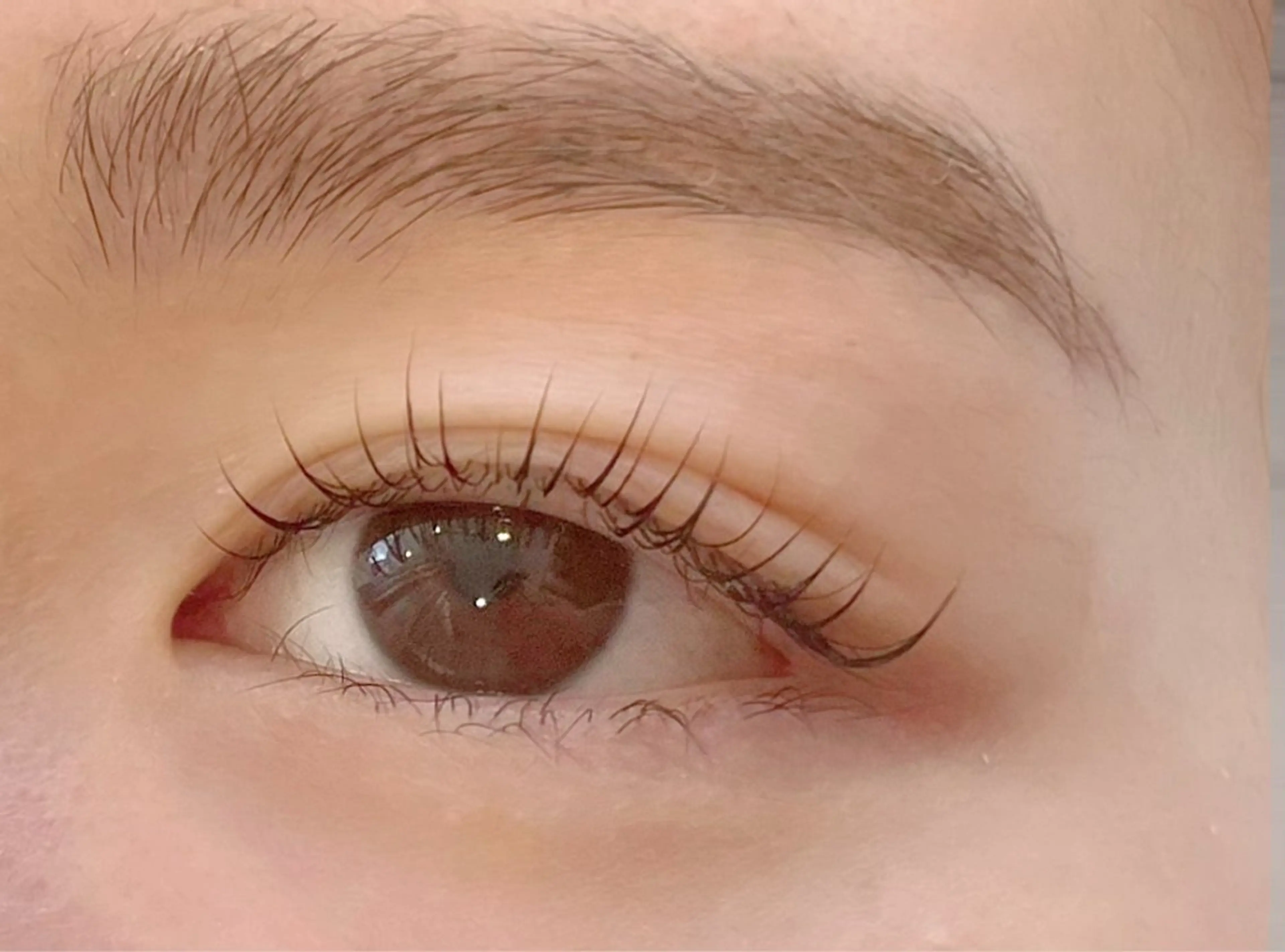 マツエク・マツパ マツパ 🦋Carina荻窪 kazumi🦋のマツエク・マツパデザイン