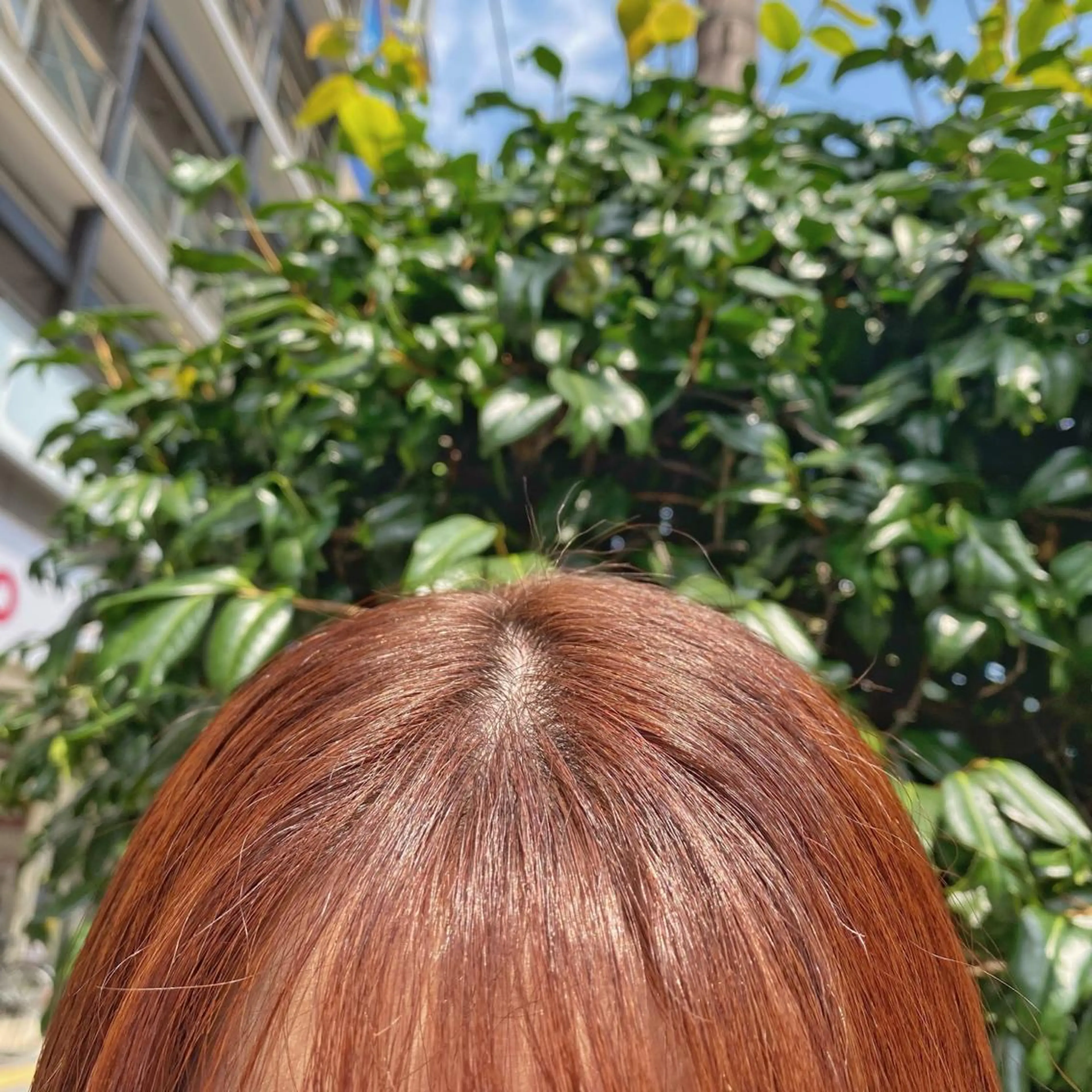 ショート カラー 透明感カラー/京橋/ reikoのヘアスタイル