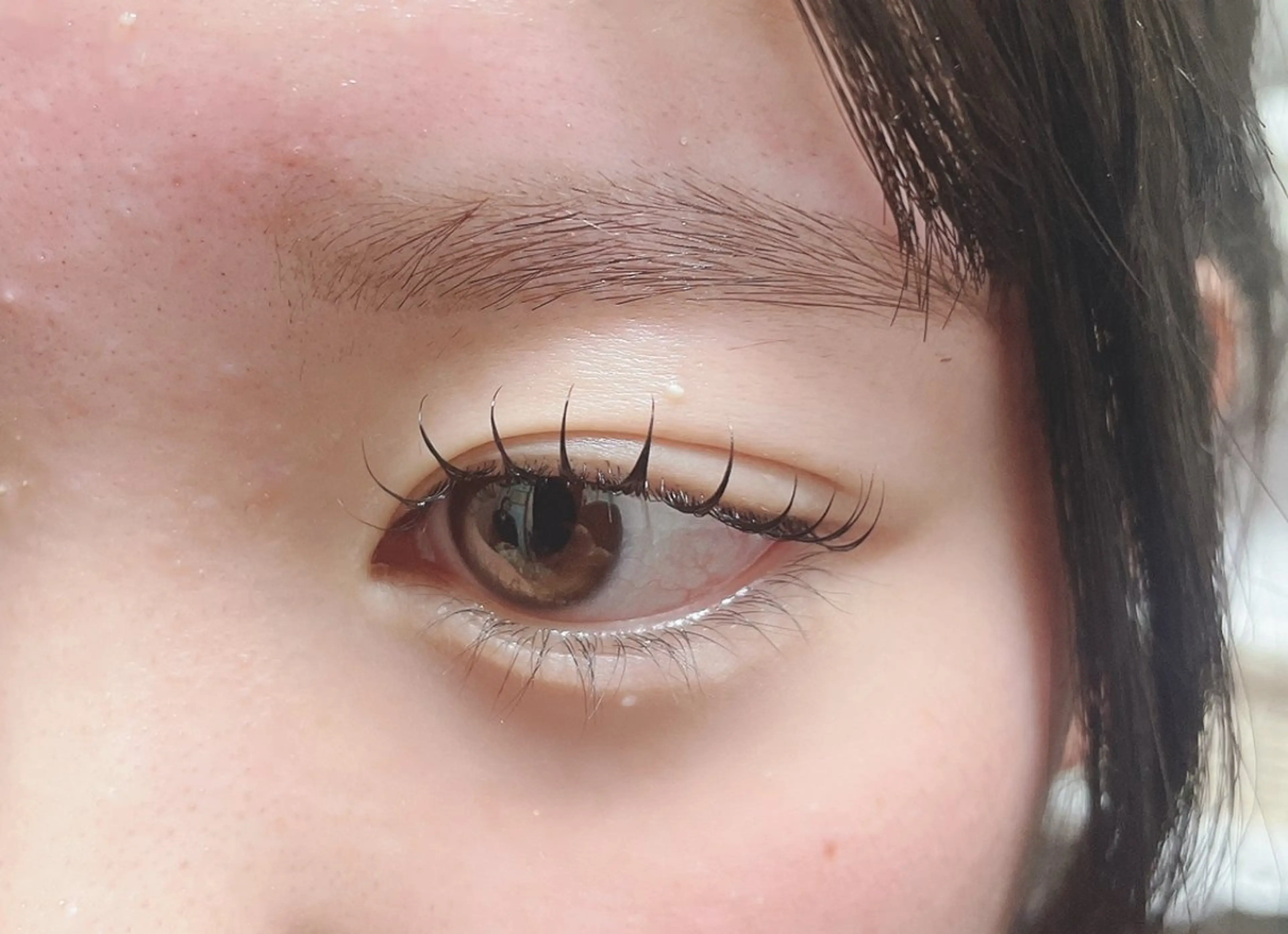 まつパ(上のみ)＆眉WAXの写真