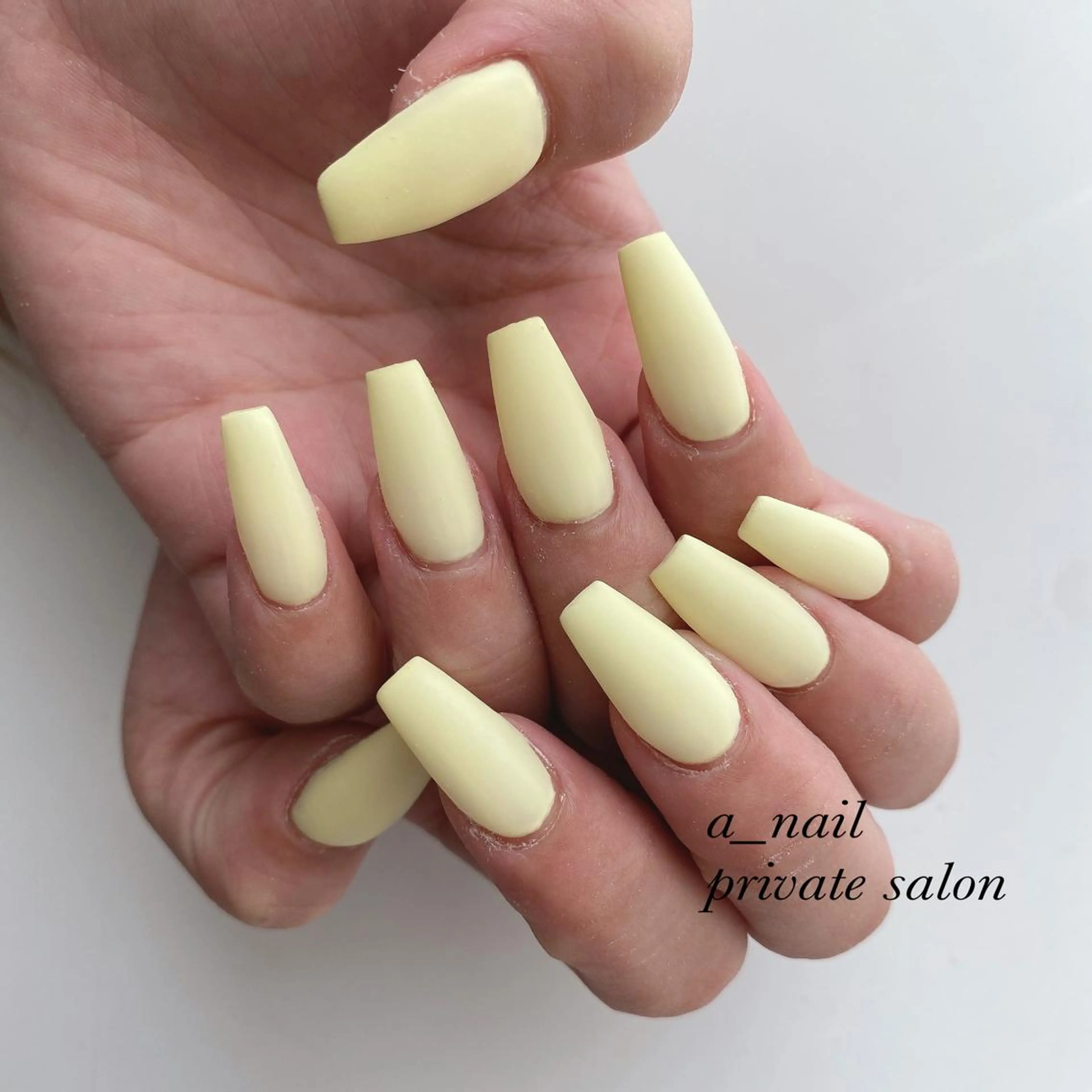 ネイル アニマル柄 フレンチネイル ジェルネイル 氷ネイル・うるうるネイル レース 菅 恵奈のネイルデザイン