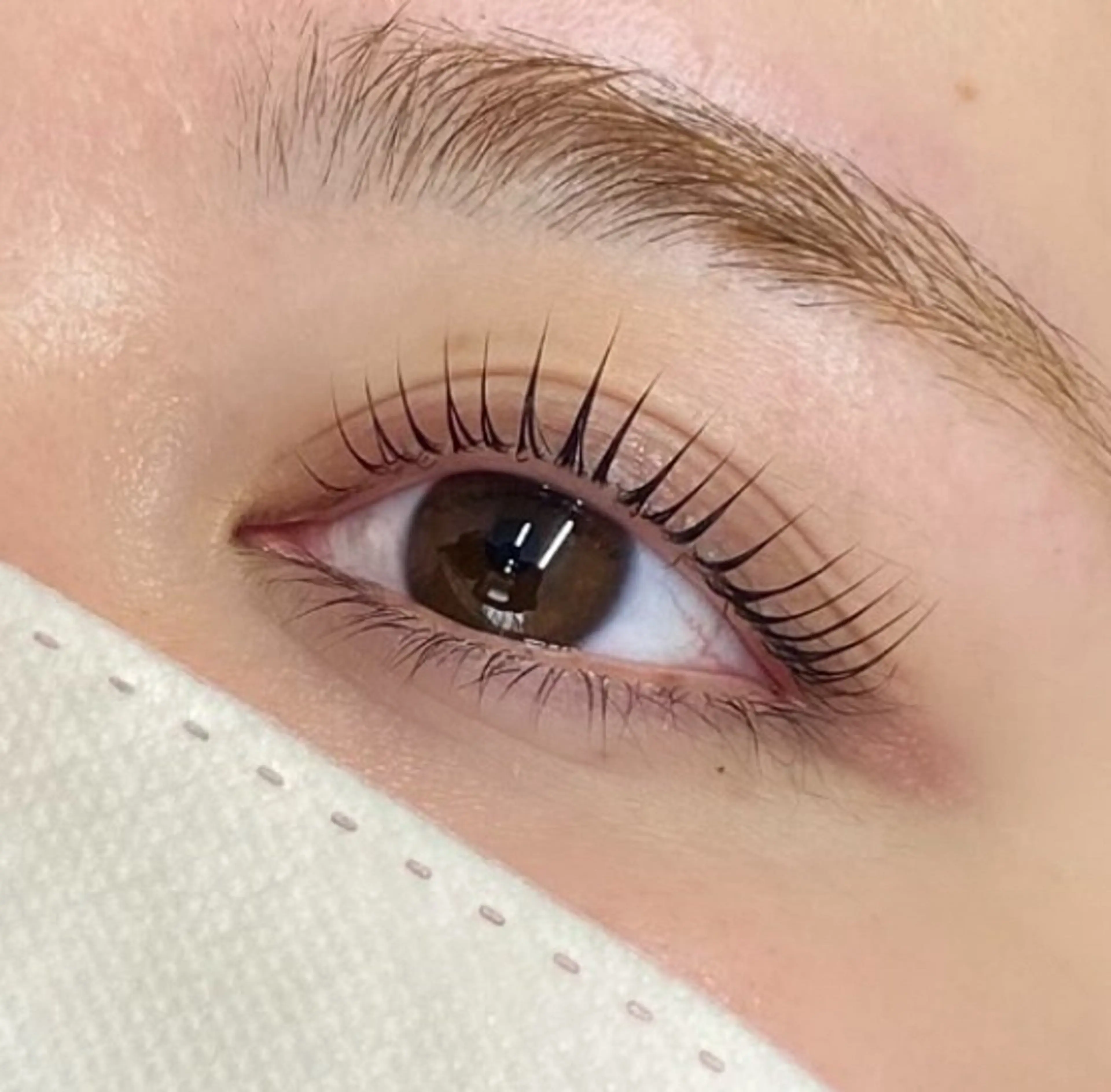 【新規】💫🩵〈まつパorパリ〉🩵💫アイブロウカラー/間引き付🉐¥4,400​〜​(上のみ)エクオフ不可⚠️の写真