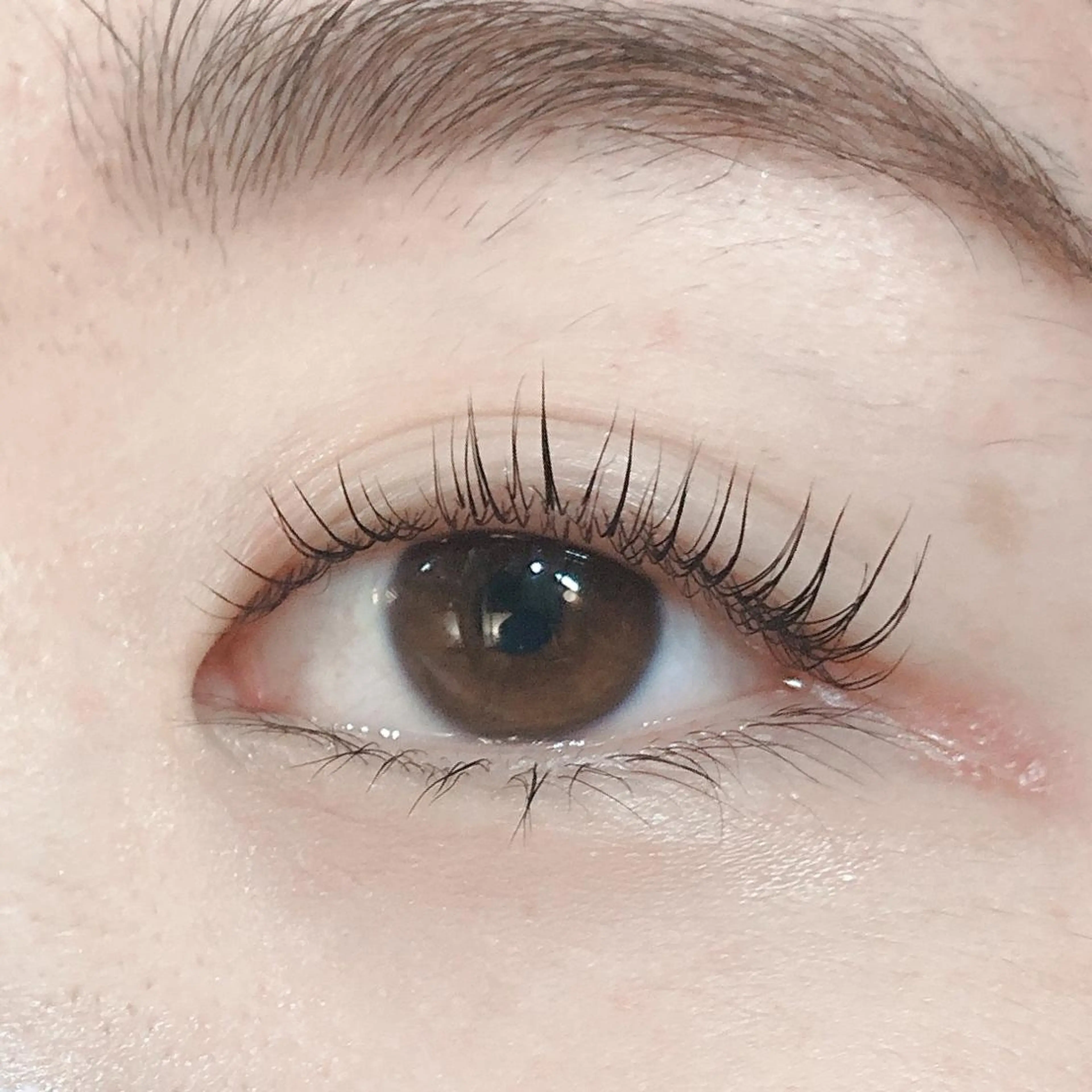 パーマ 渋谷 志保の眉毛・アイブロウイメージ