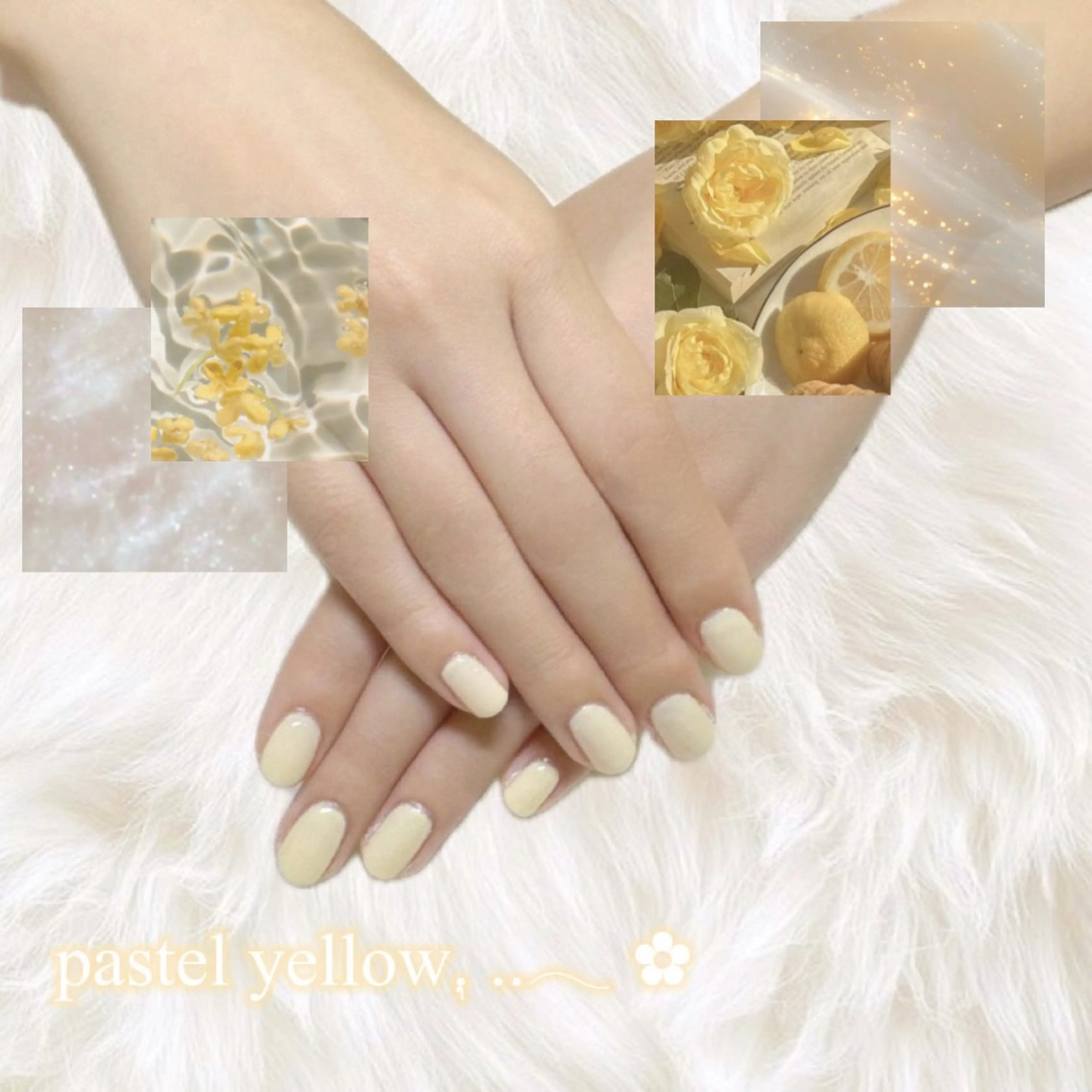 ネイル VENUS BELT kanaeのネイルデザイン