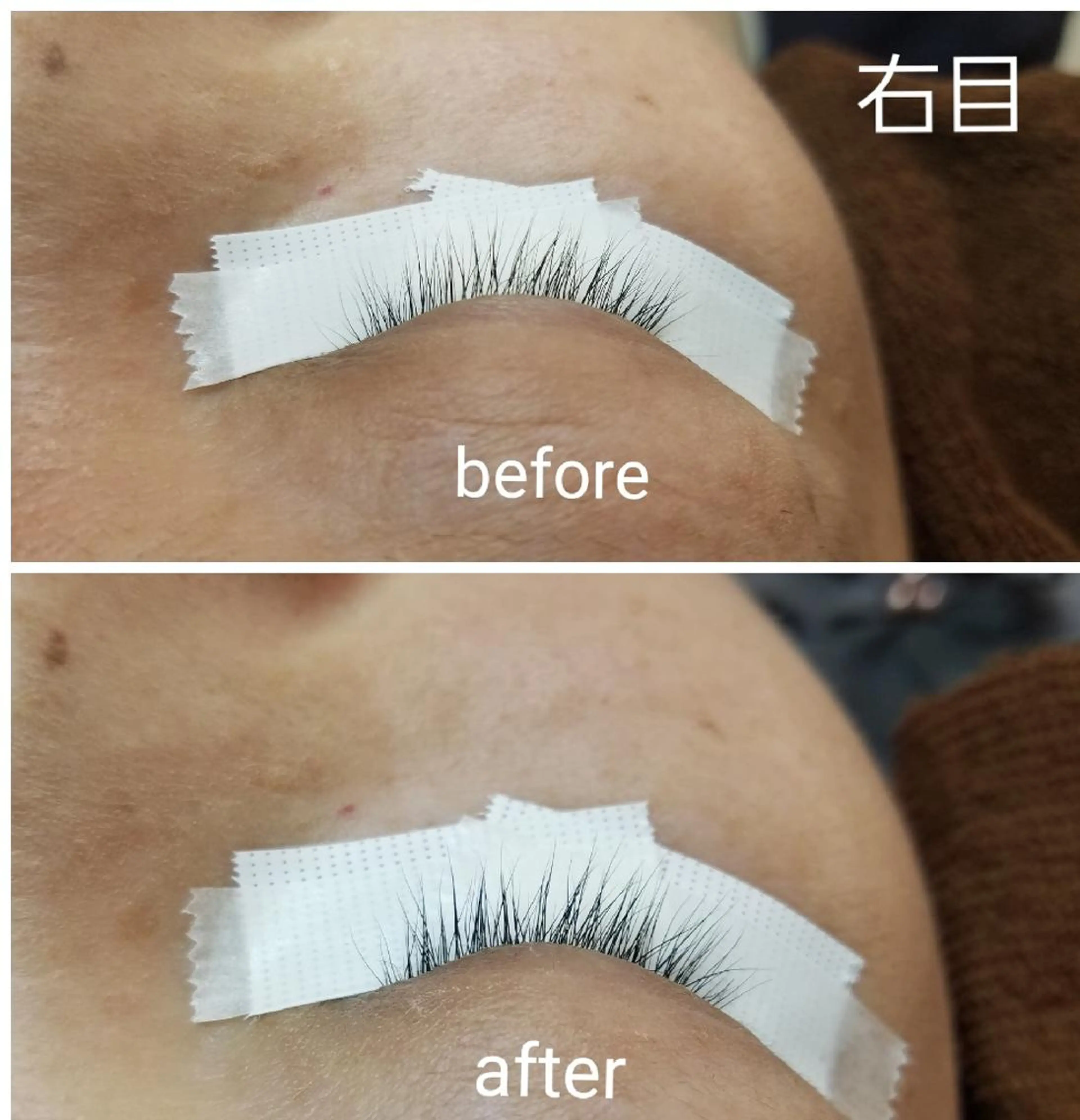 Gypsy eyelash(ジプシーアイラッシュ)所属・Gypsy eyelashのマツエク・マツパデザイン