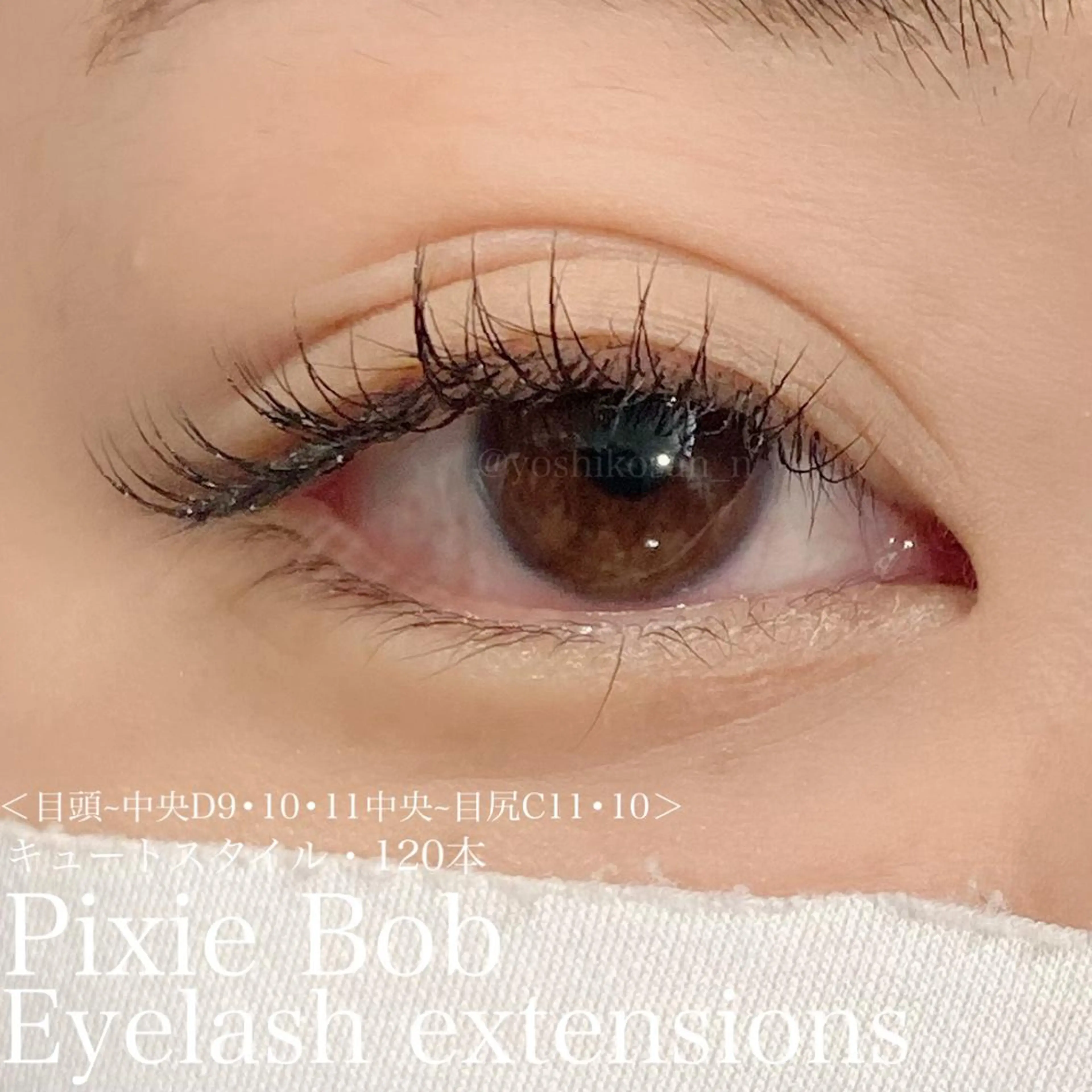 マツエク・マツパ マツエク Pixie Bob 🐈‍⬛　位田のマツエク・マツパデザイン