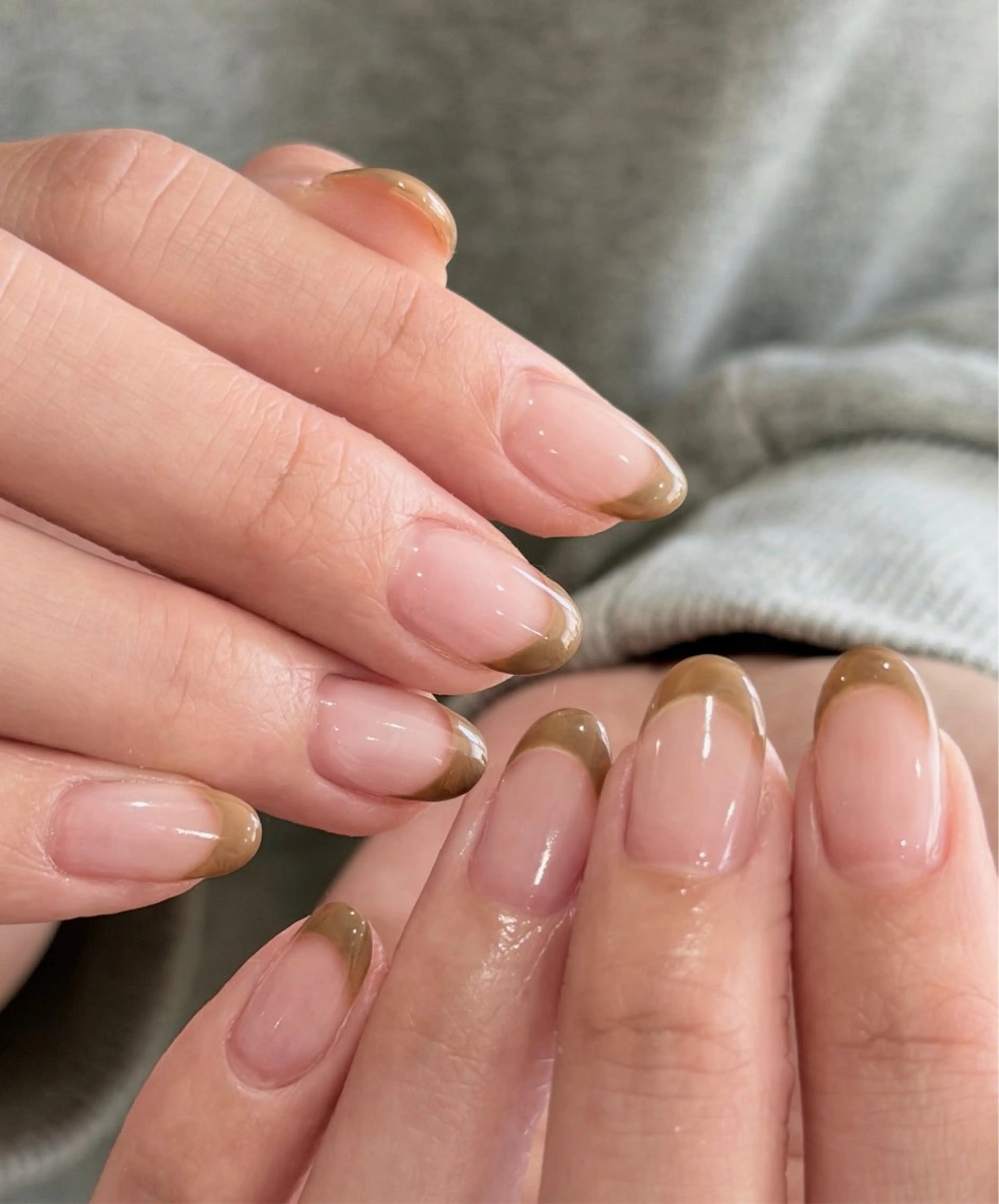 4/27限定【オフあり】フレンチの写真