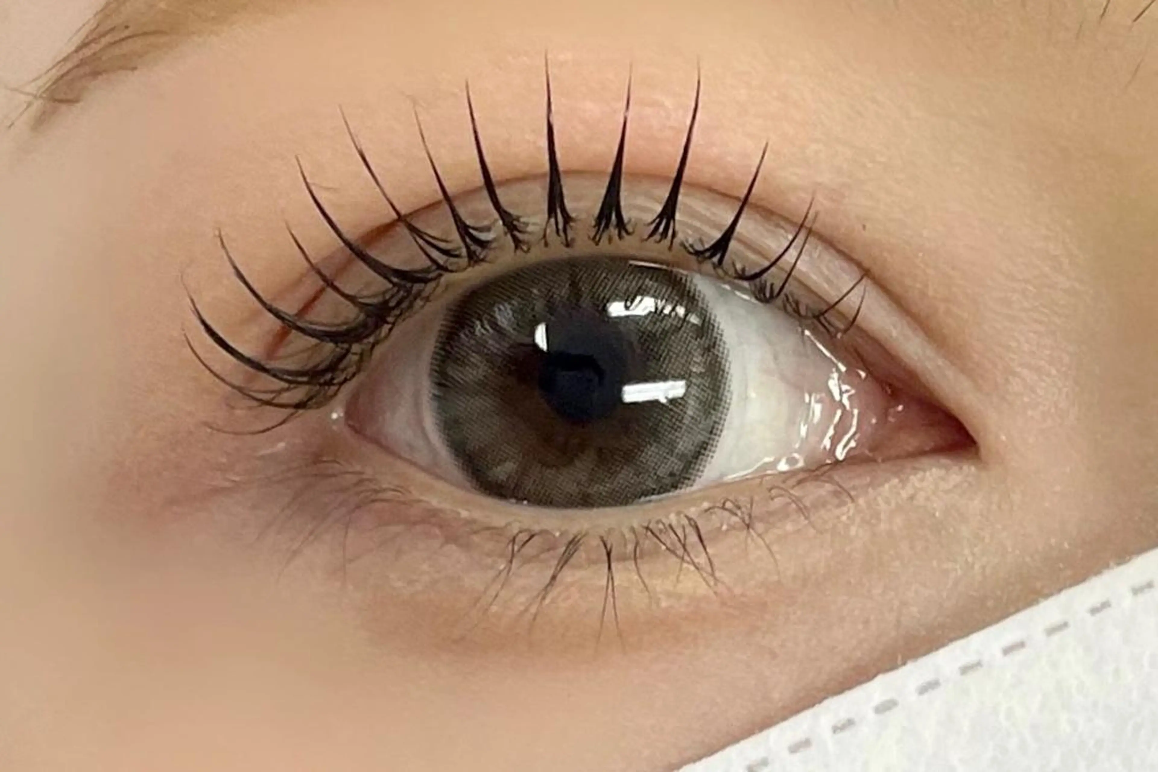 マツエク・マツパ マツパ 大阪福島韓国束感まつ げ Sayaka🤍のマツエク・マツパデザイン