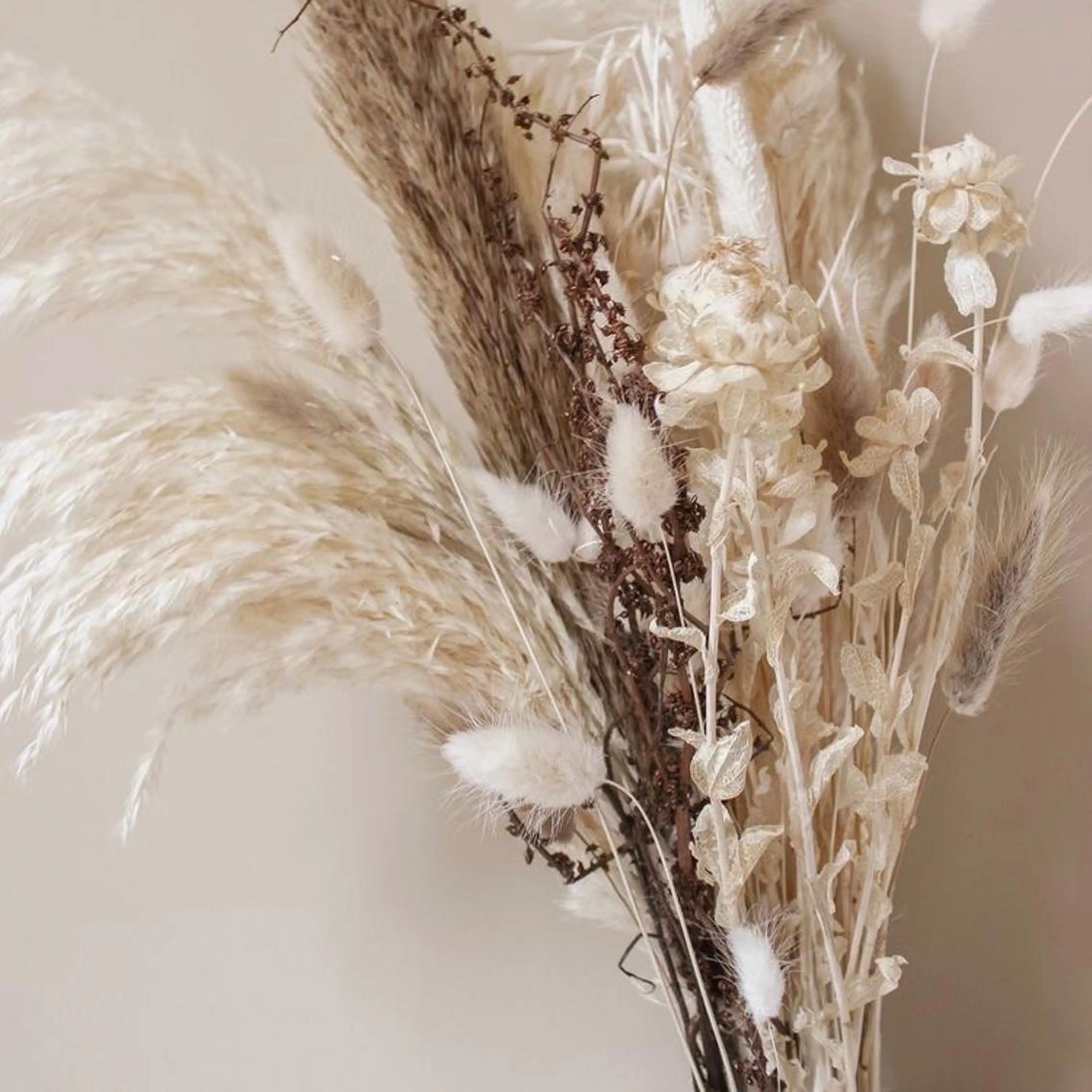 田川 きららのマツエク・マツパデザイン