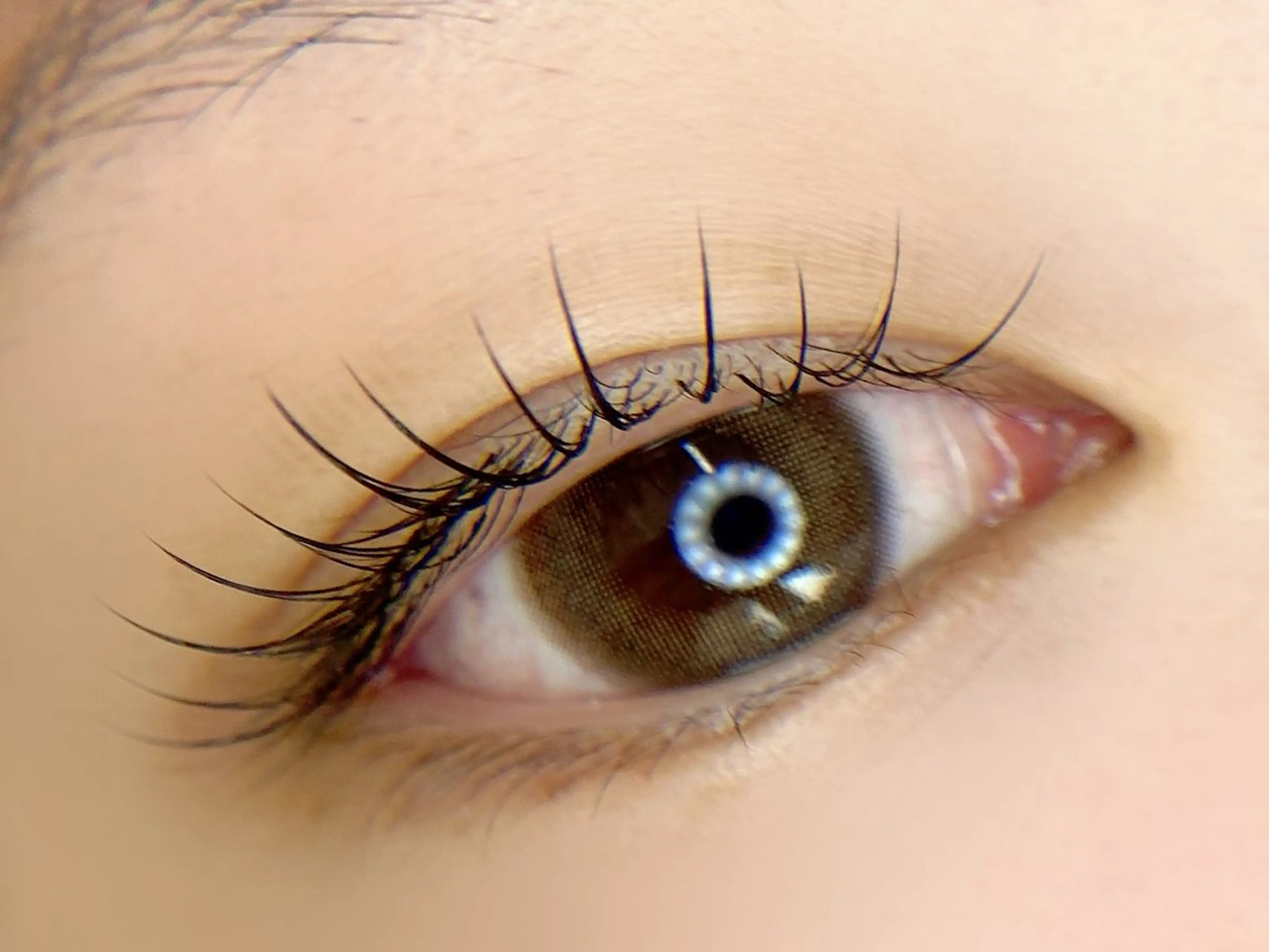 マツエク・マツパ マツエク tomte トムテのマツエク・マツパデザイン