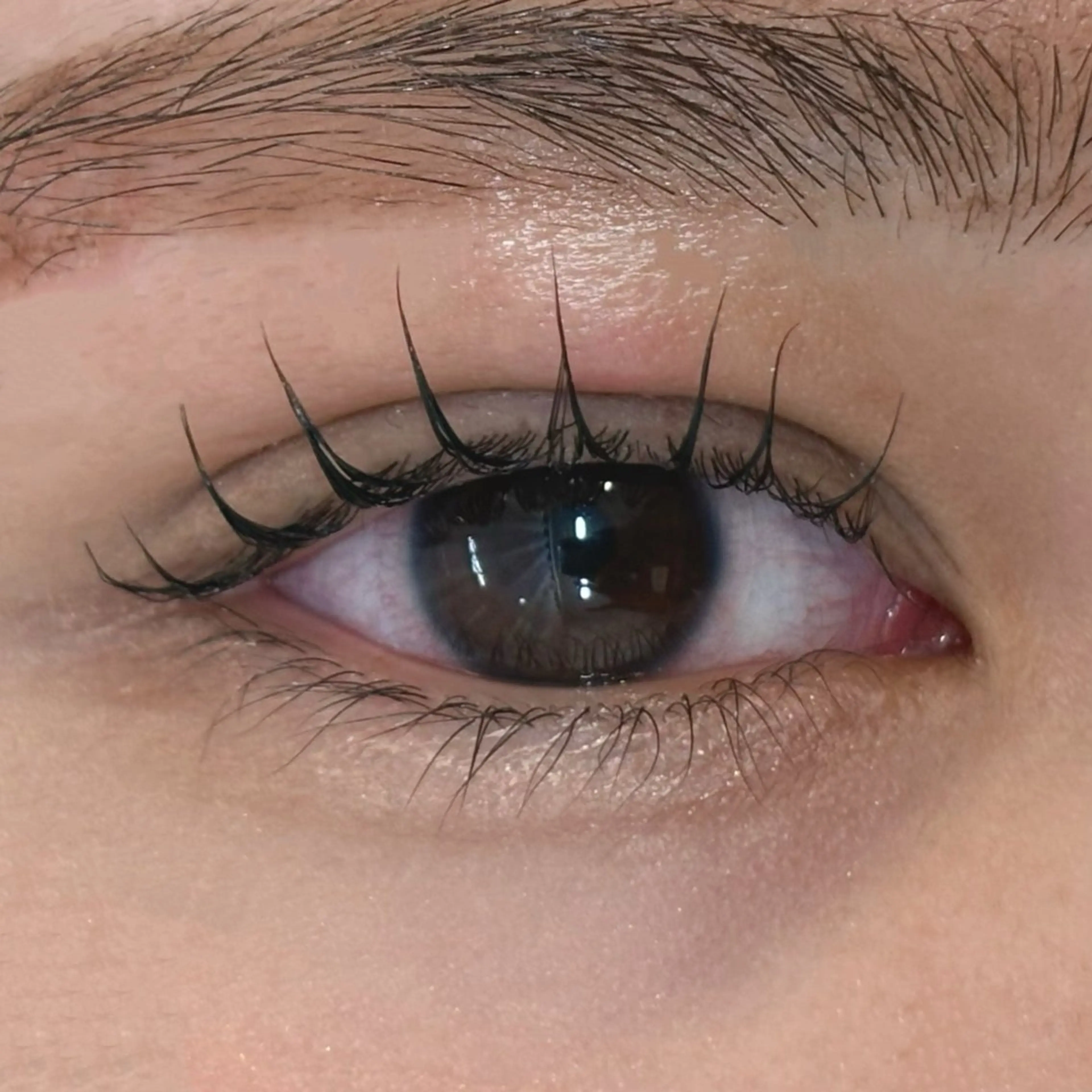 マツエク・マツパ MASAMI / 四条烏丸店のマツエク・マツパデザイン