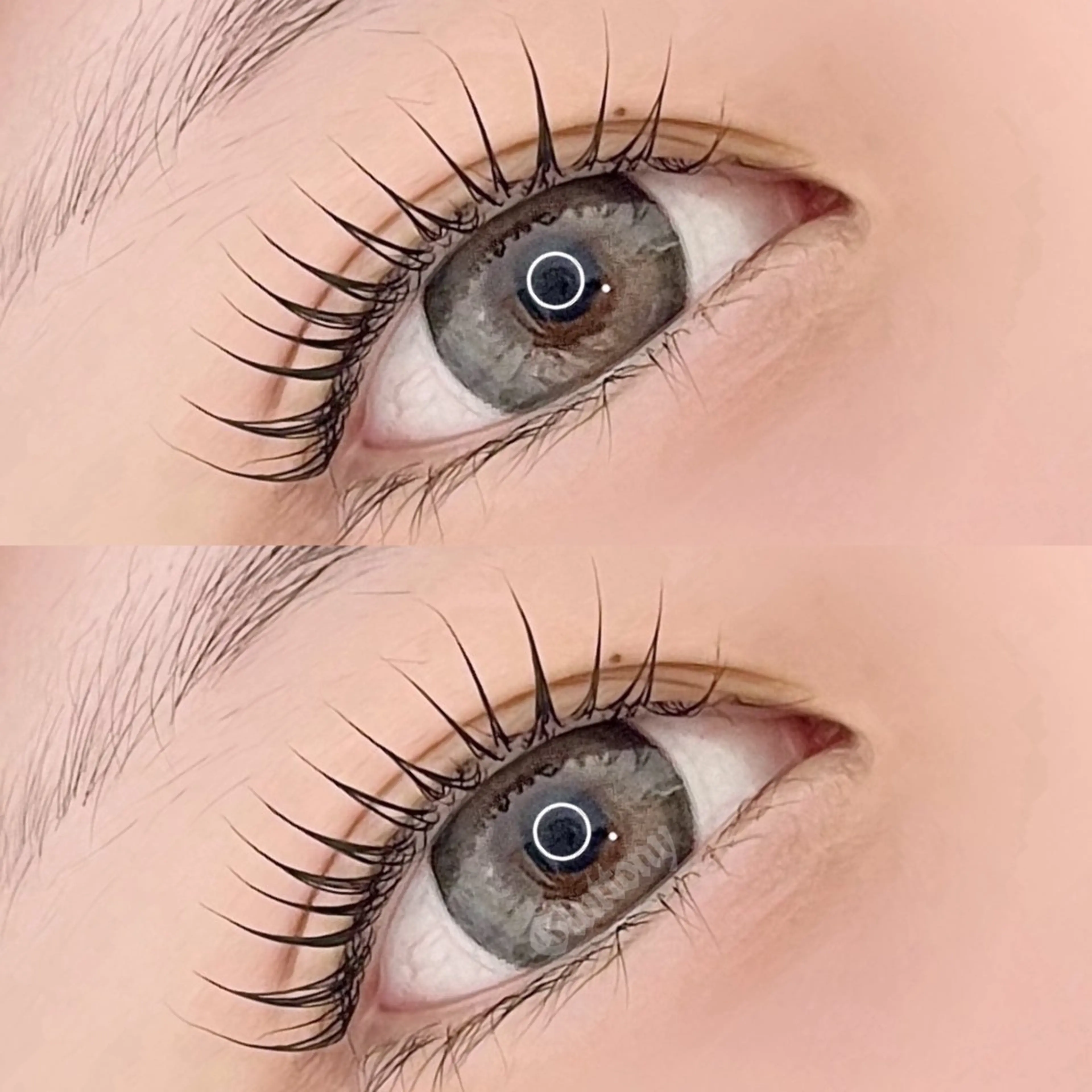 マツエク・マツパ マツパ Gluttony/ ｸﾞﾗﾄﾆｰのマツエク・マツパデザイン