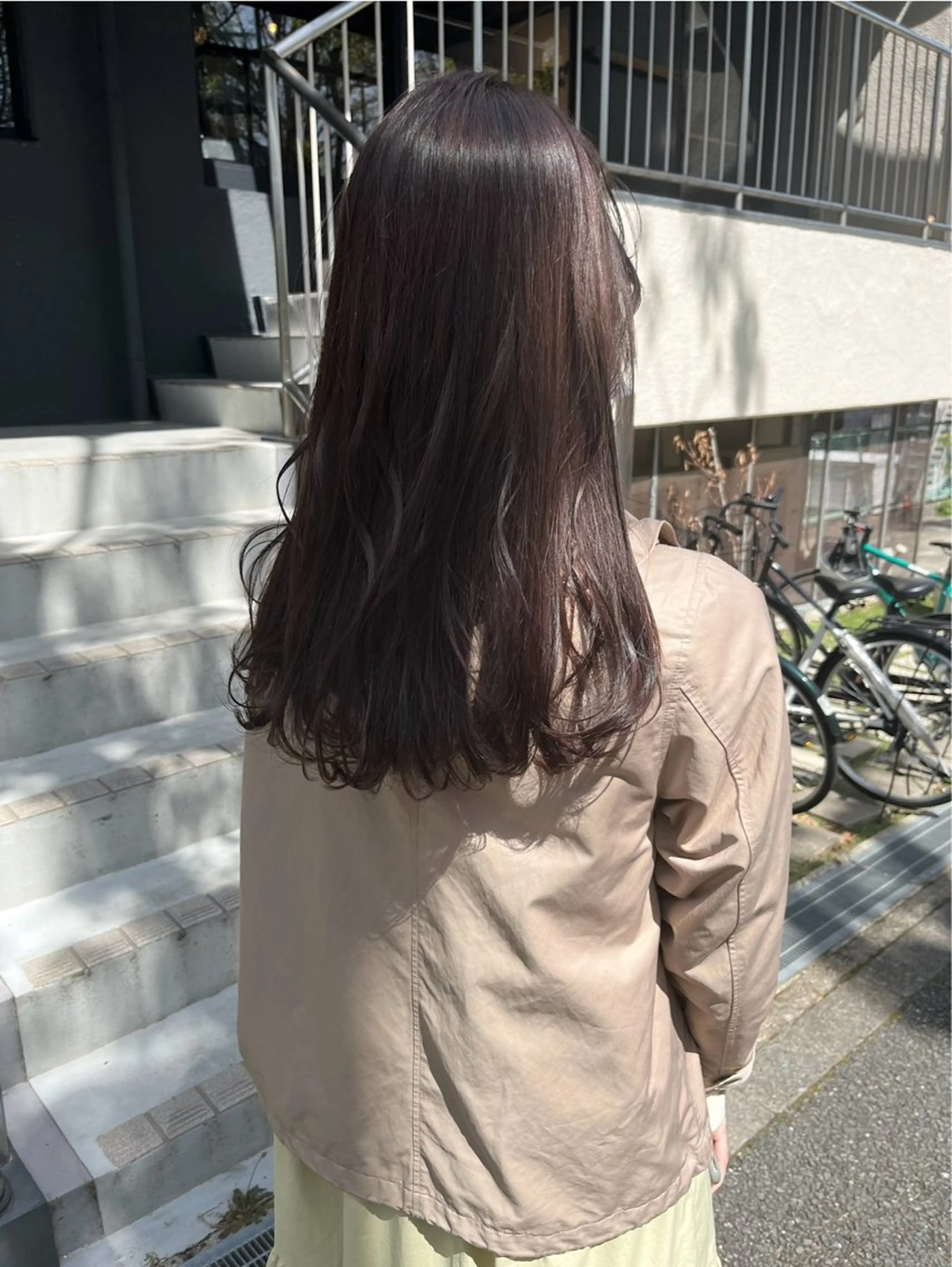 アディクシーカラーの写真