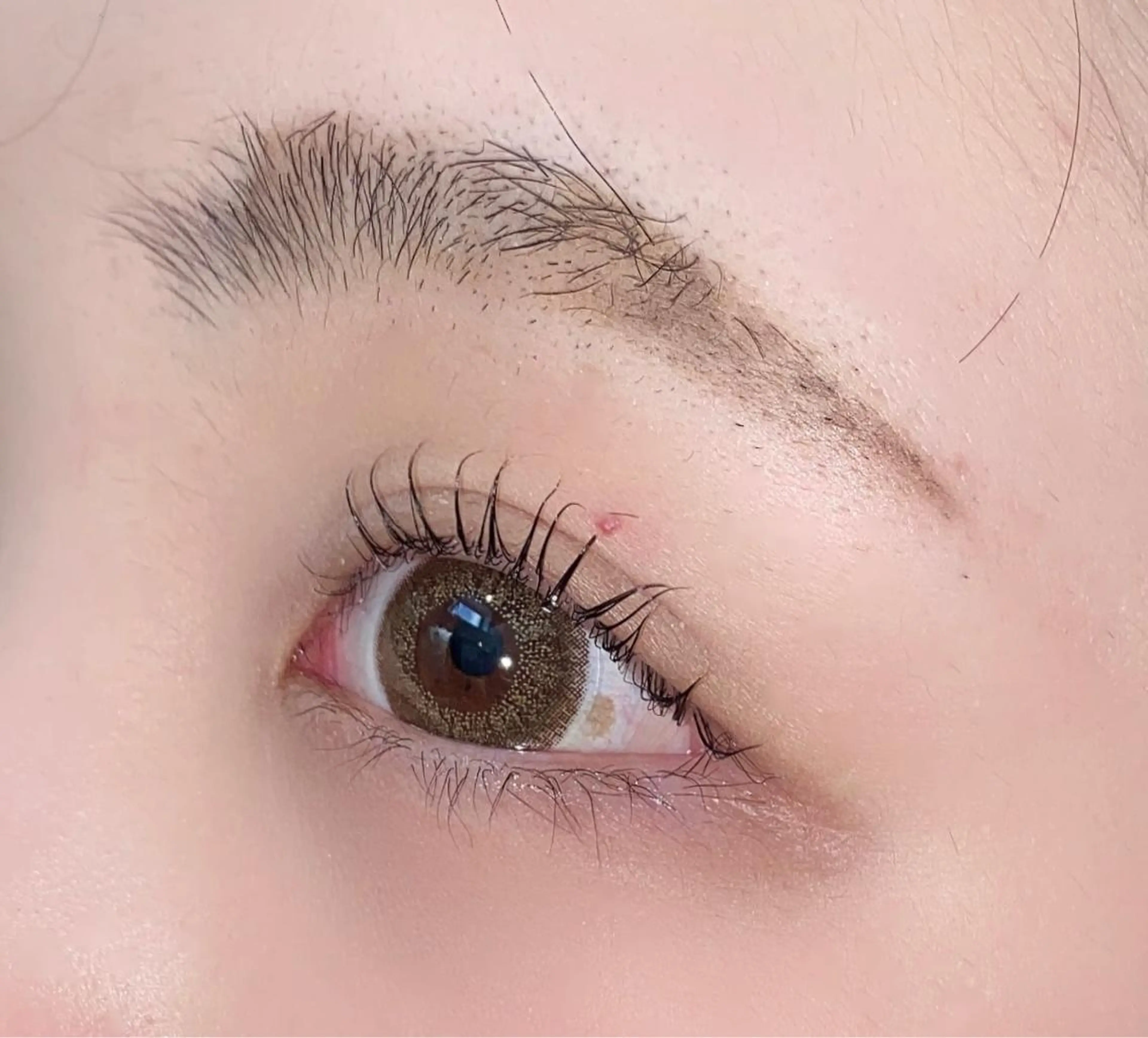 マツエク・マツパ eclipse shinoのマツエク・マツパデザイン