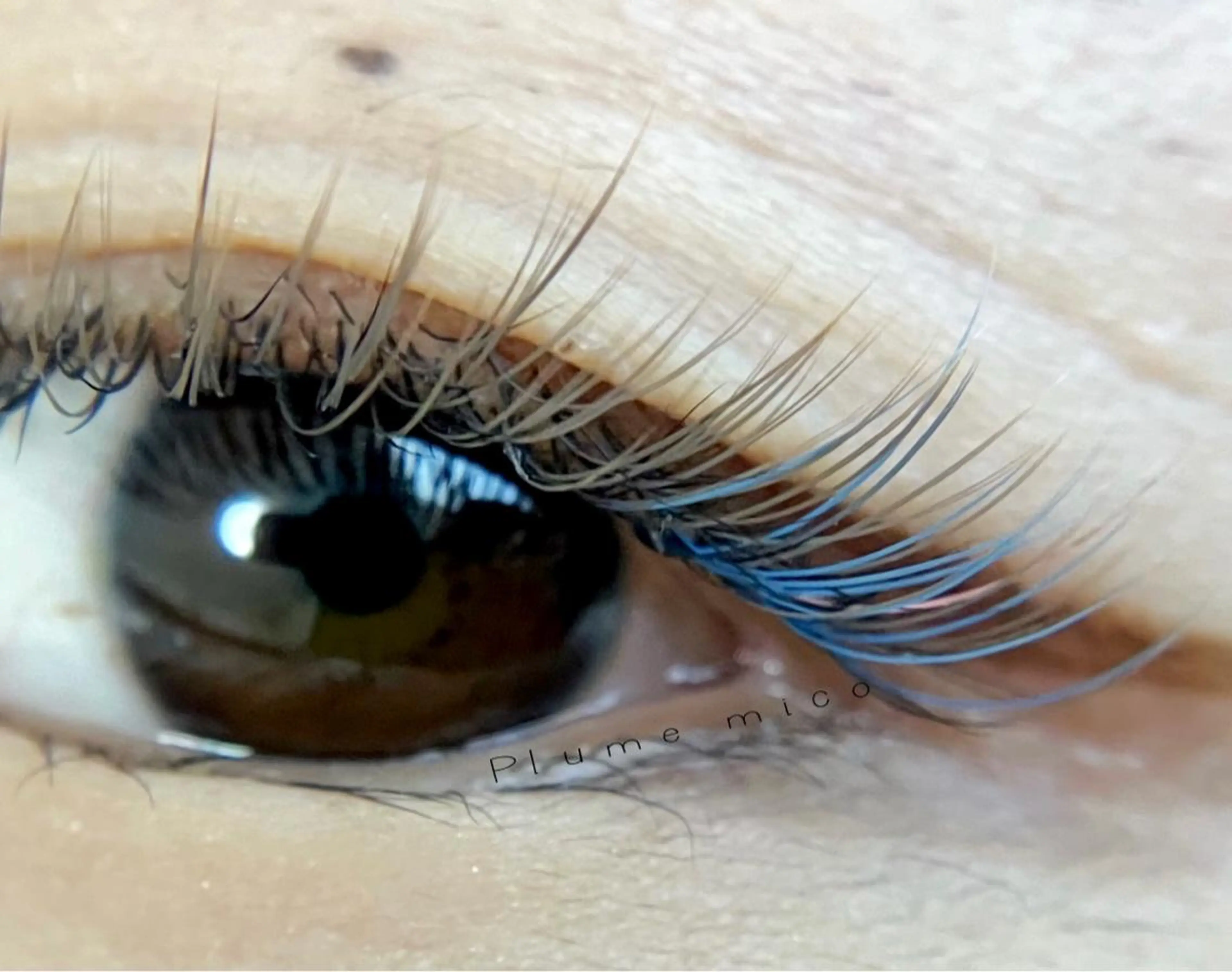 マツエク・マツパ マツエク Plume micoのマツエク・マツパデザイン