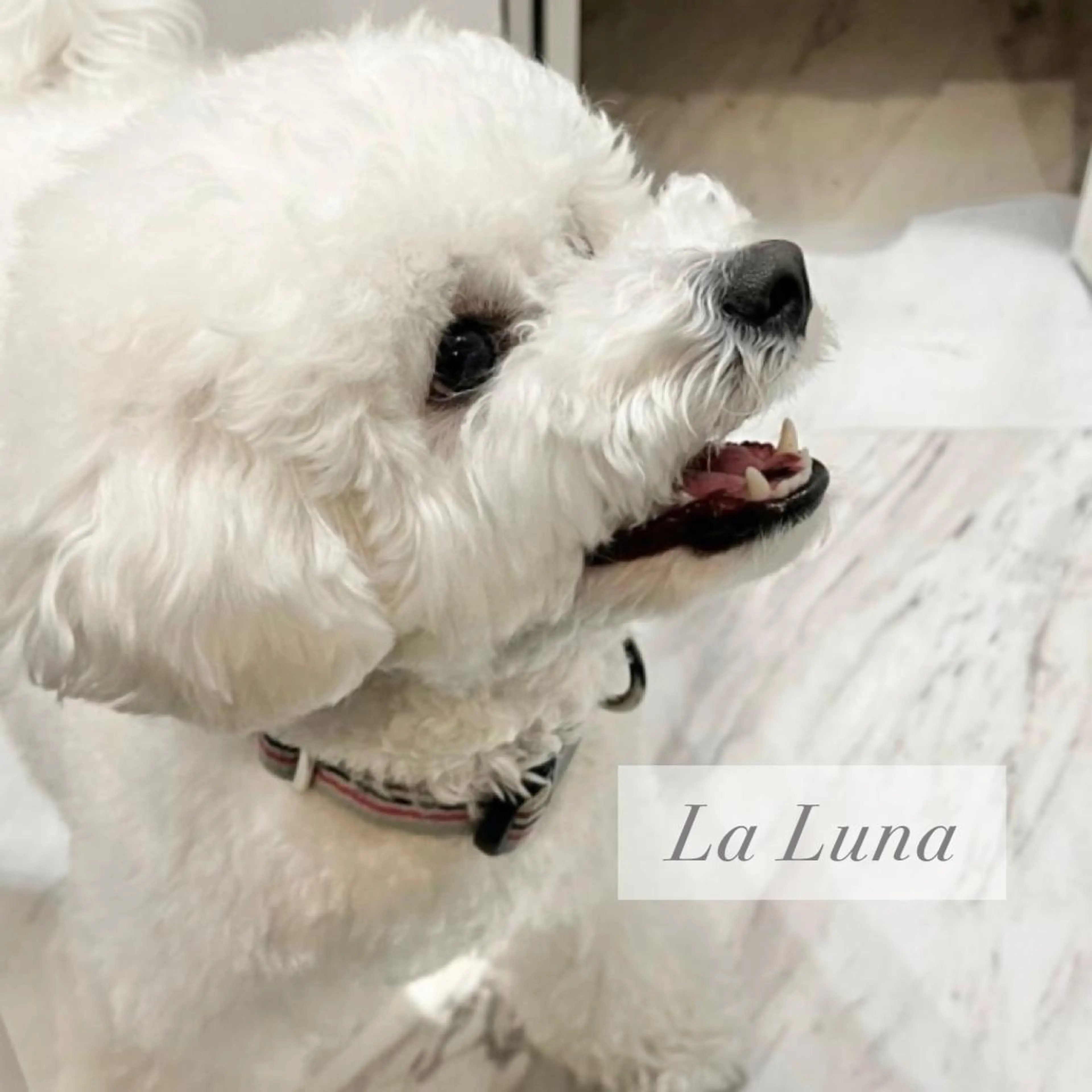 ＬａＬｕｎａ🌙 Natsukiのネイルデザイン