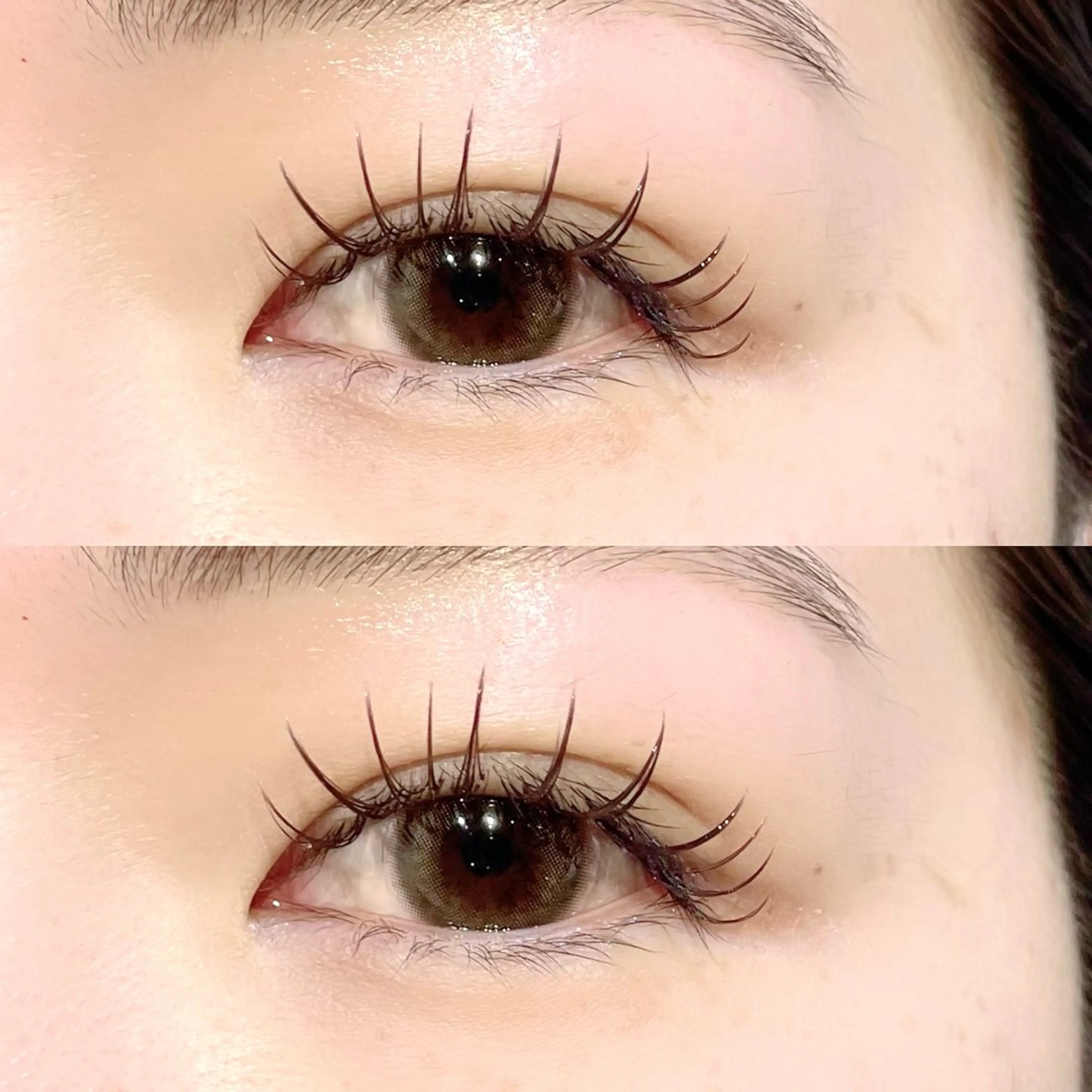 マツエク・マツパ カラーマツエク GO TODAY 表参道Luce店所属・ラッシュリフト / eri🎀のマツエク・マツパデザイン