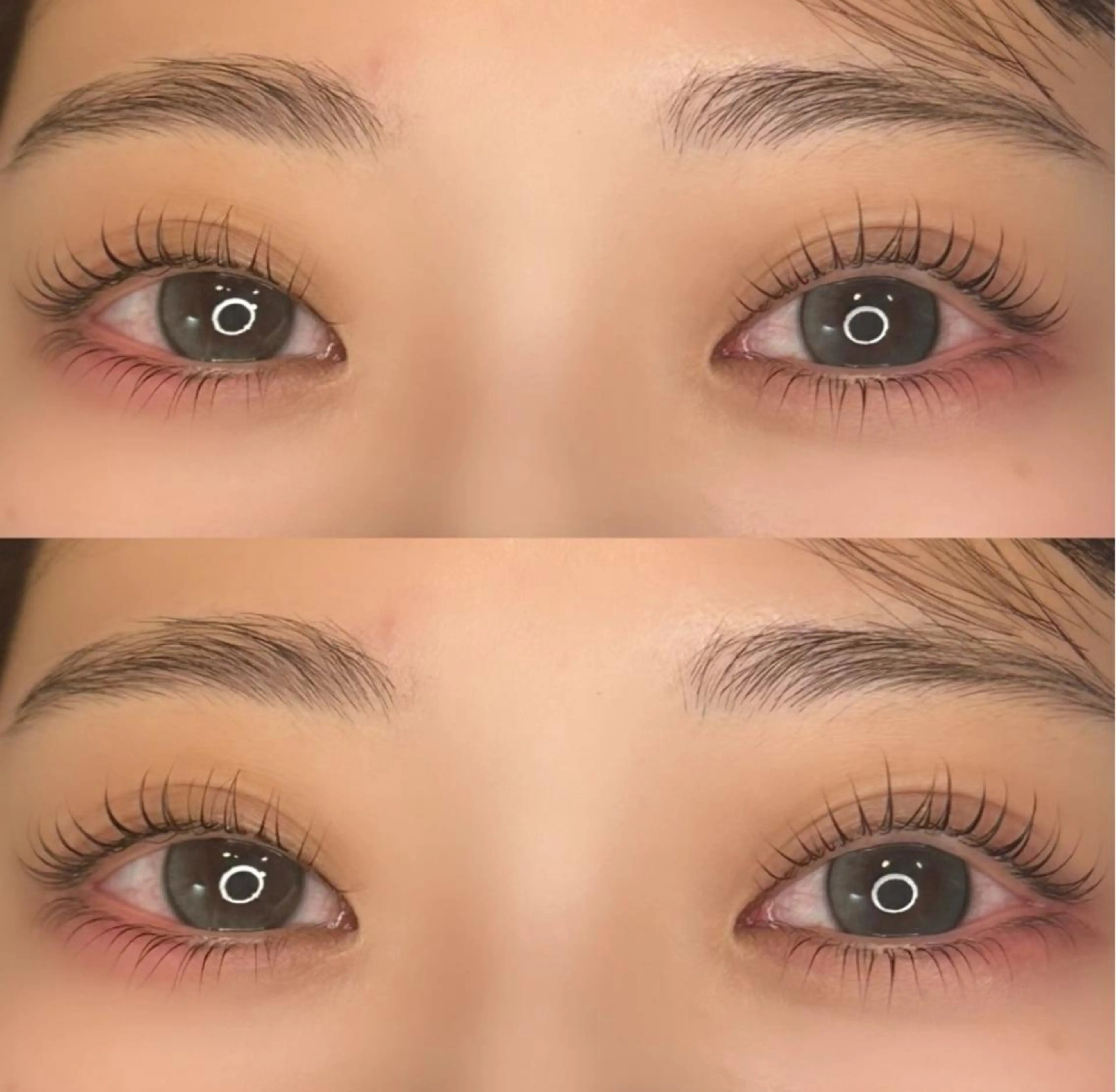 ダメージレスラッシュリフト上下✨｜根元から立ち上がる美しい目元💖華やかさ×中顔面短縮効果💫の写真