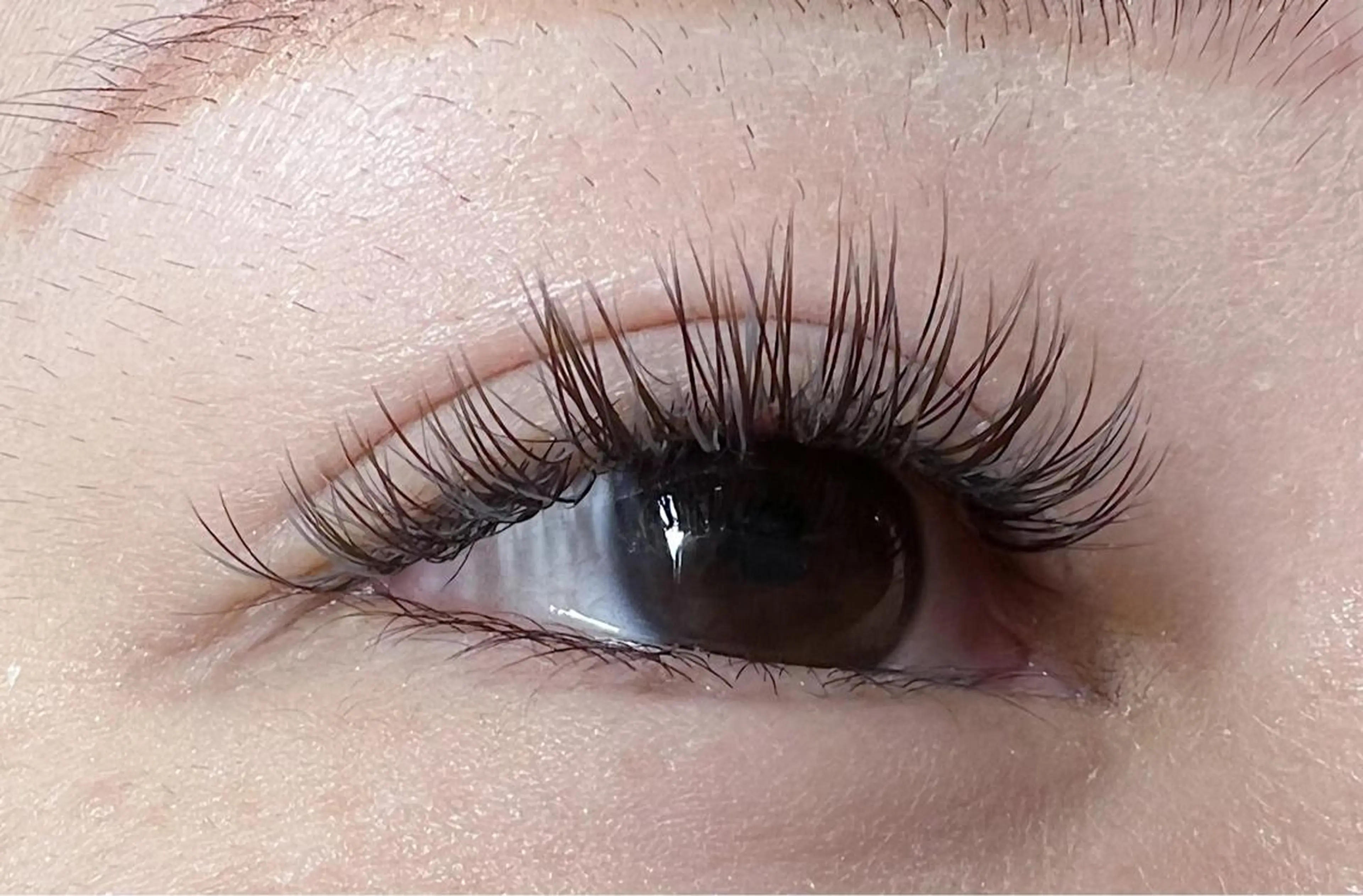 マツエク・マツパ 付け放題 フラットラッシュ マツエク miu. eyelashのマツエク・マツパデザイン