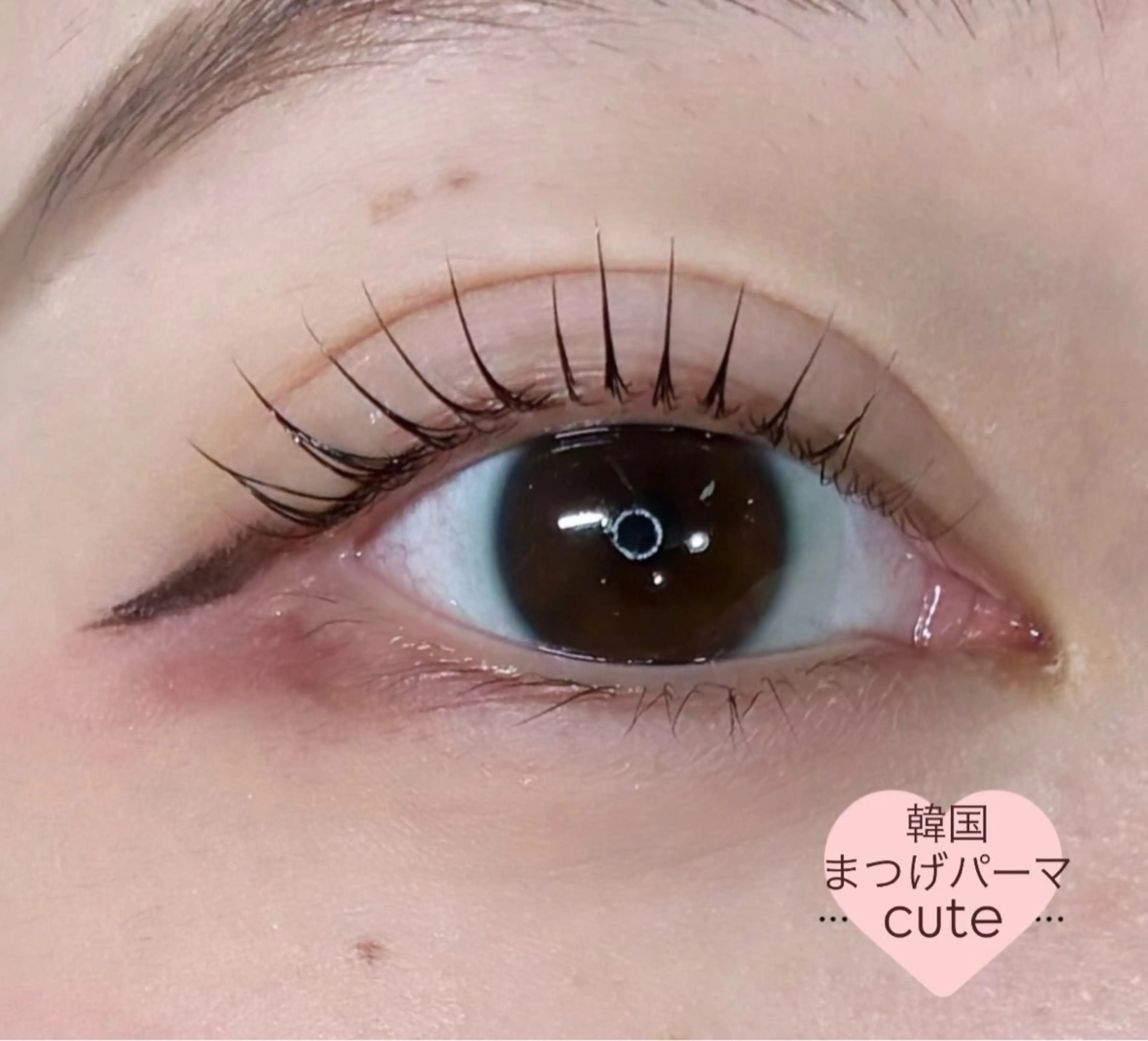 マツエク・マツパ マツパ LEDエクステ専門店 Fedis 京橋のマツエク・マツパデザイン