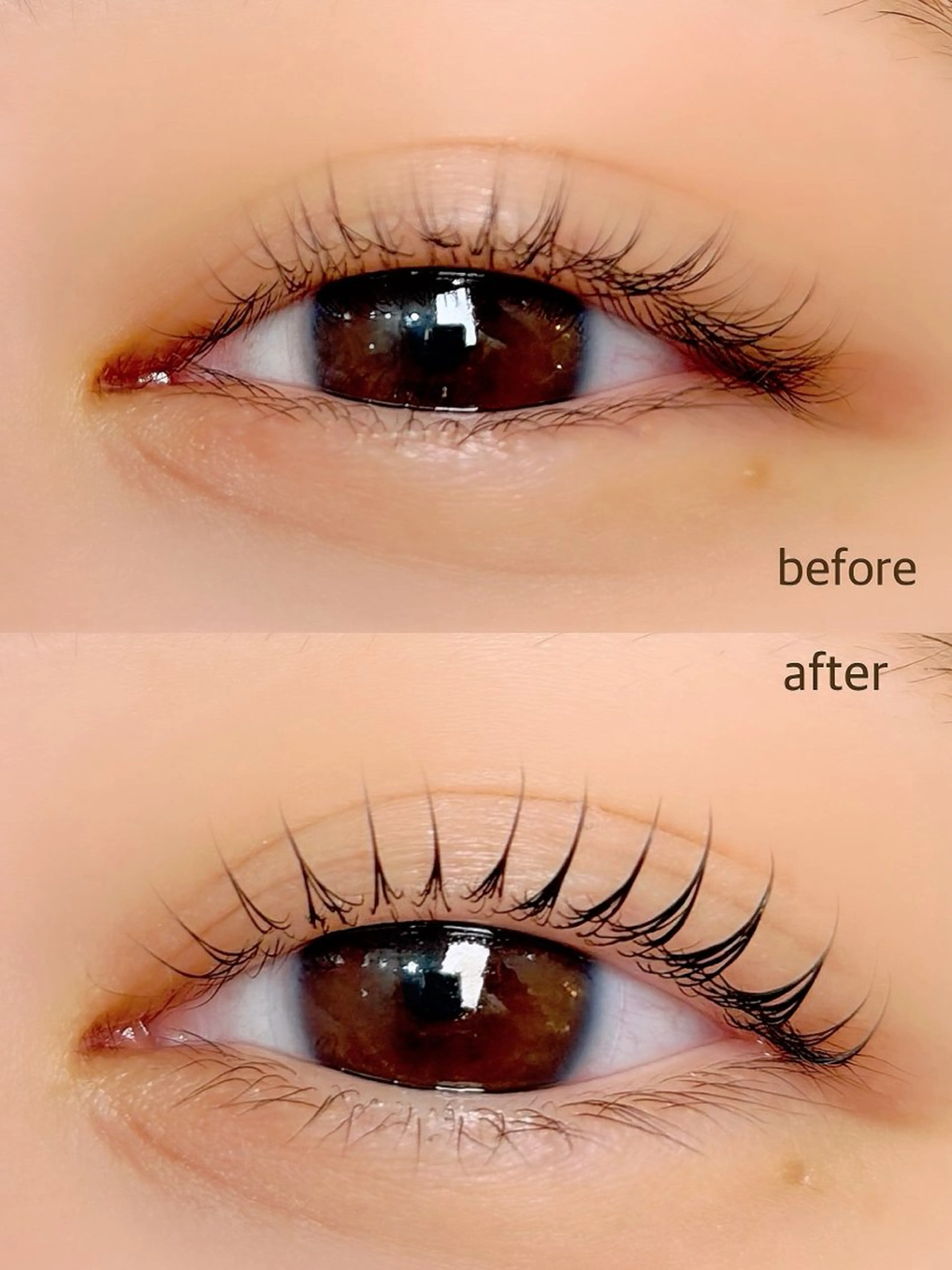 マツエク・マツパ Ramo大宮 wakaba🌈🦋の眉毛・アイブロウイメージ