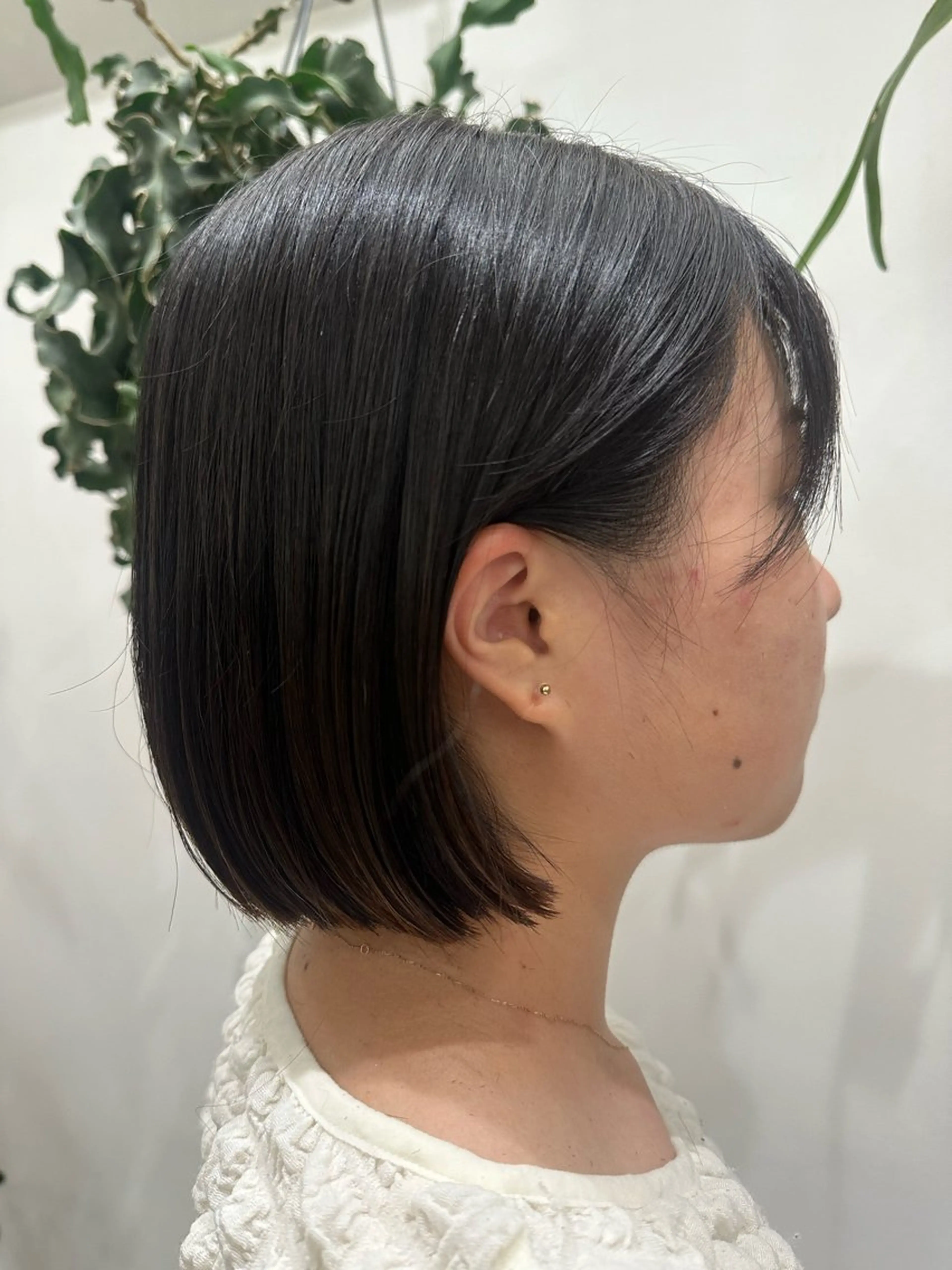 ショート 藤本 豪海のヘアスタイル