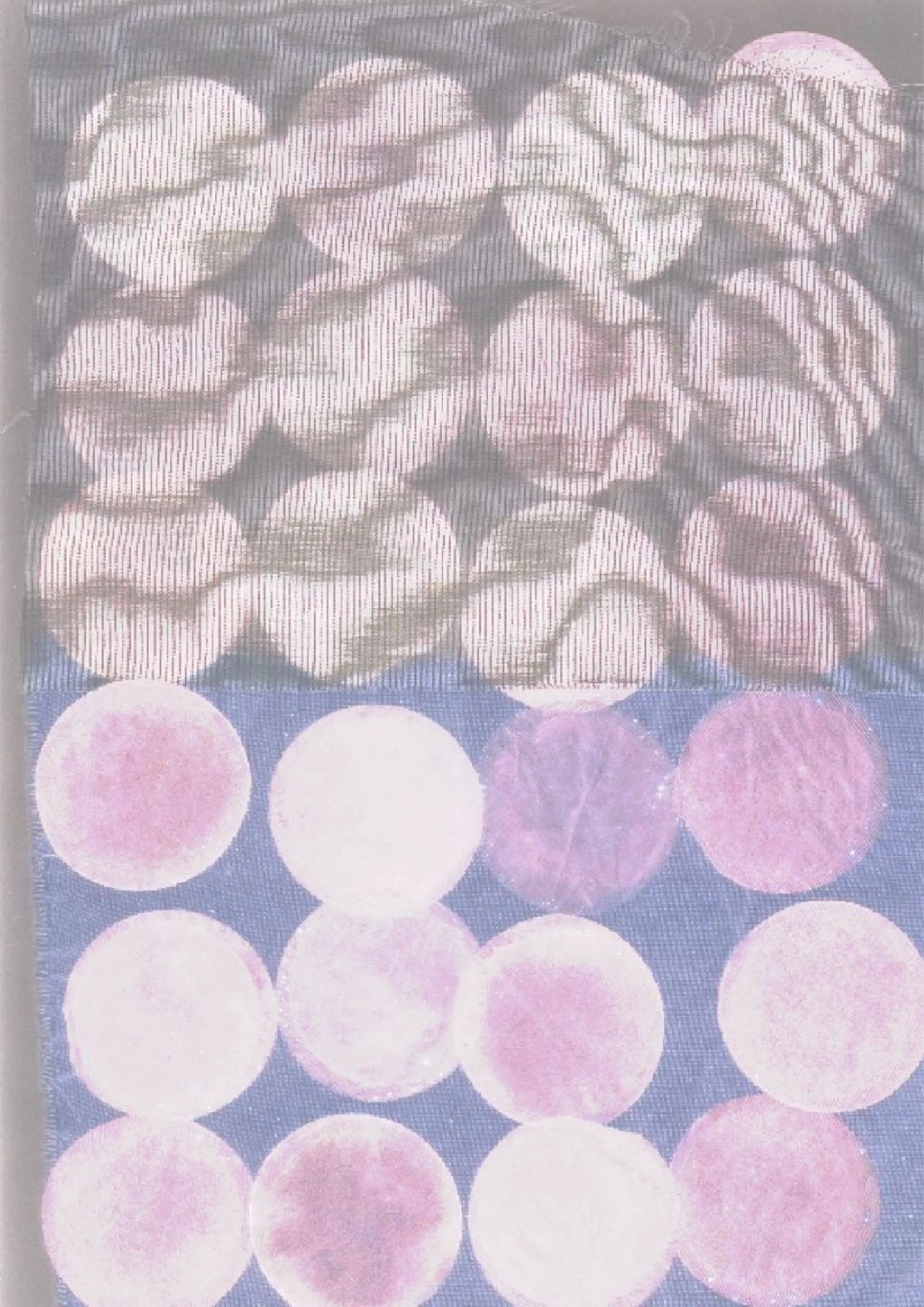 ネイル 🪷Bianca ✜ Hasegawa🪷のネイルデザイン