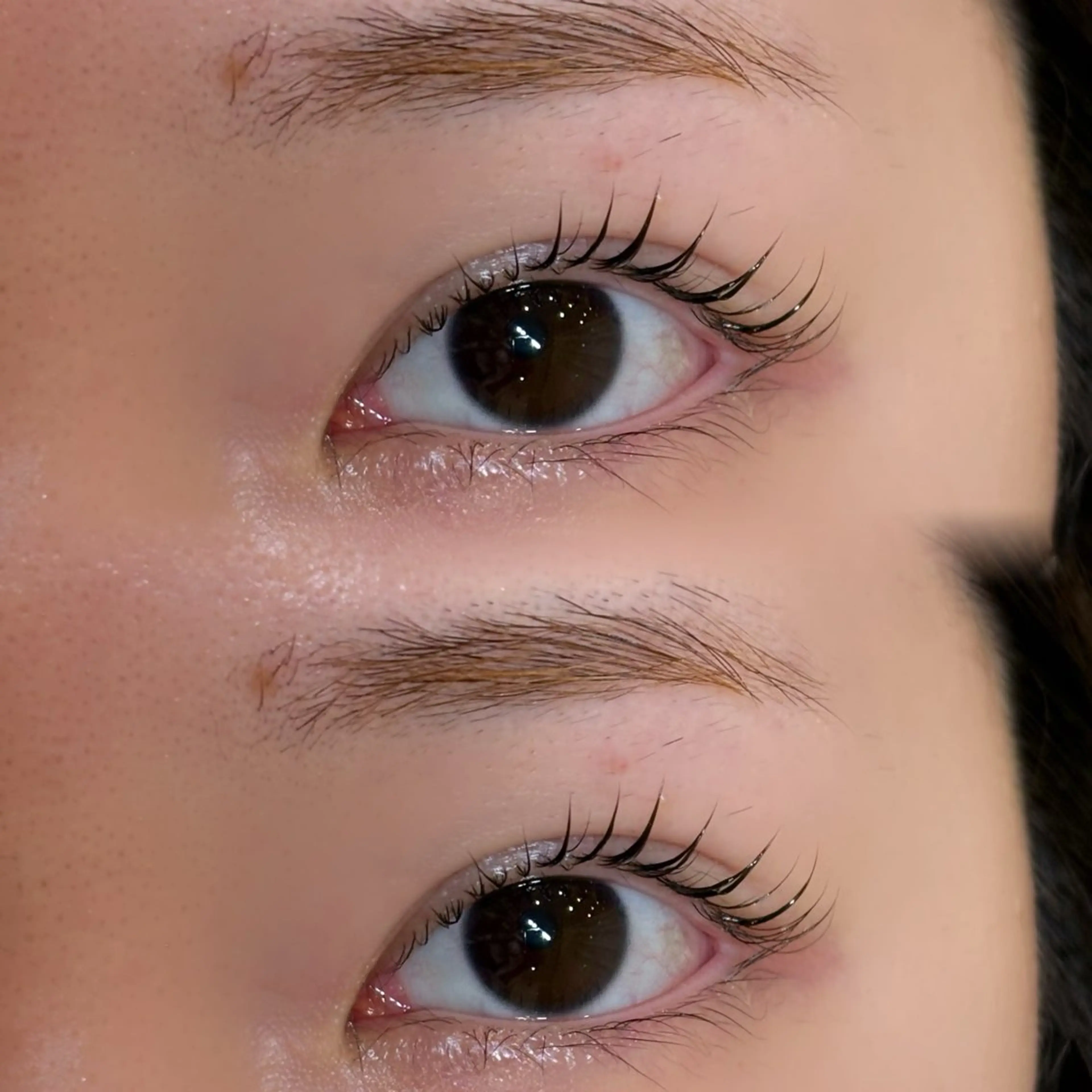 マツエク・マツパ アンドヘルシー/束感 /LED🩶MIYUのマツエク・マツパデザイン