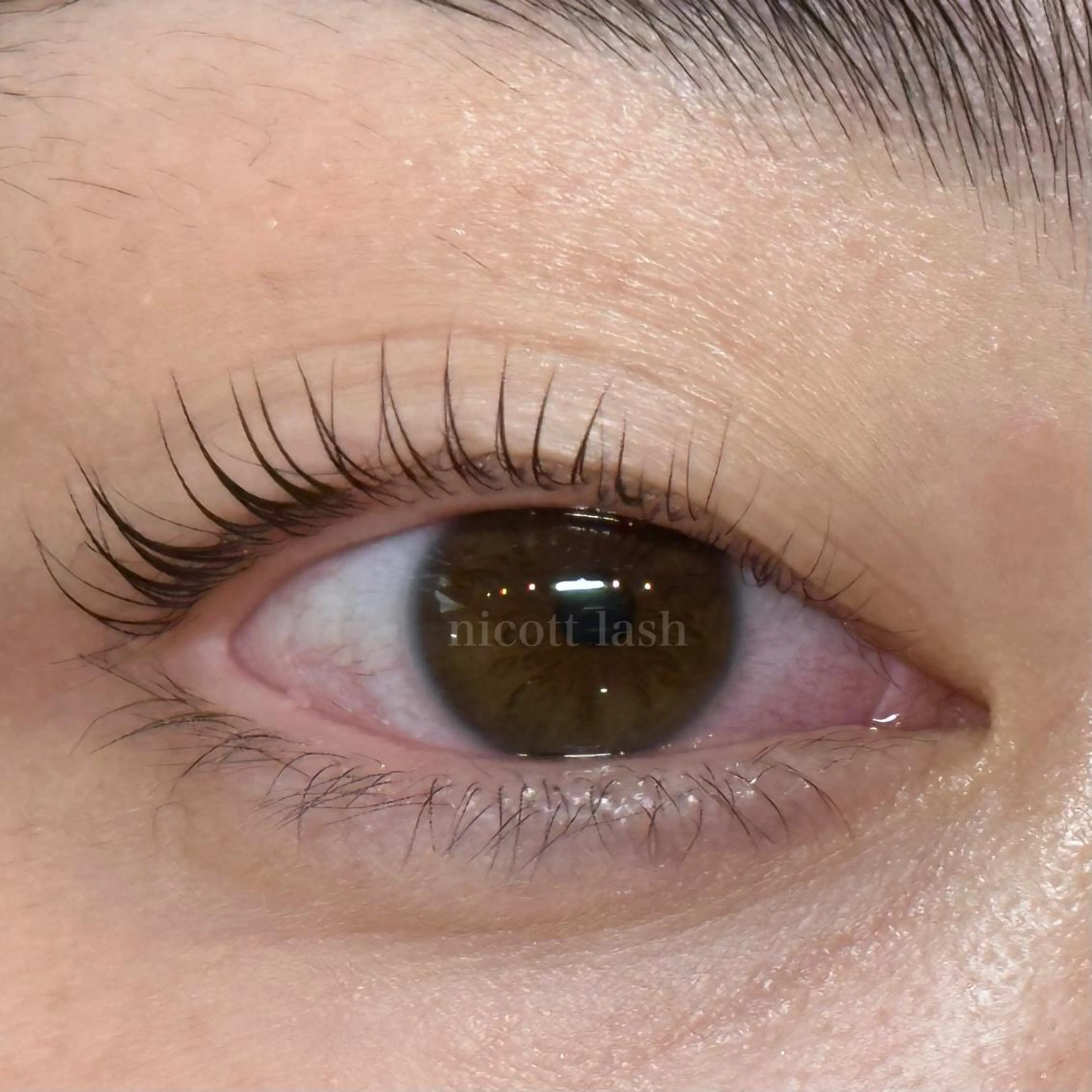 マツエク・マツパ nicott 篠田のマツエク・マツパデザイン