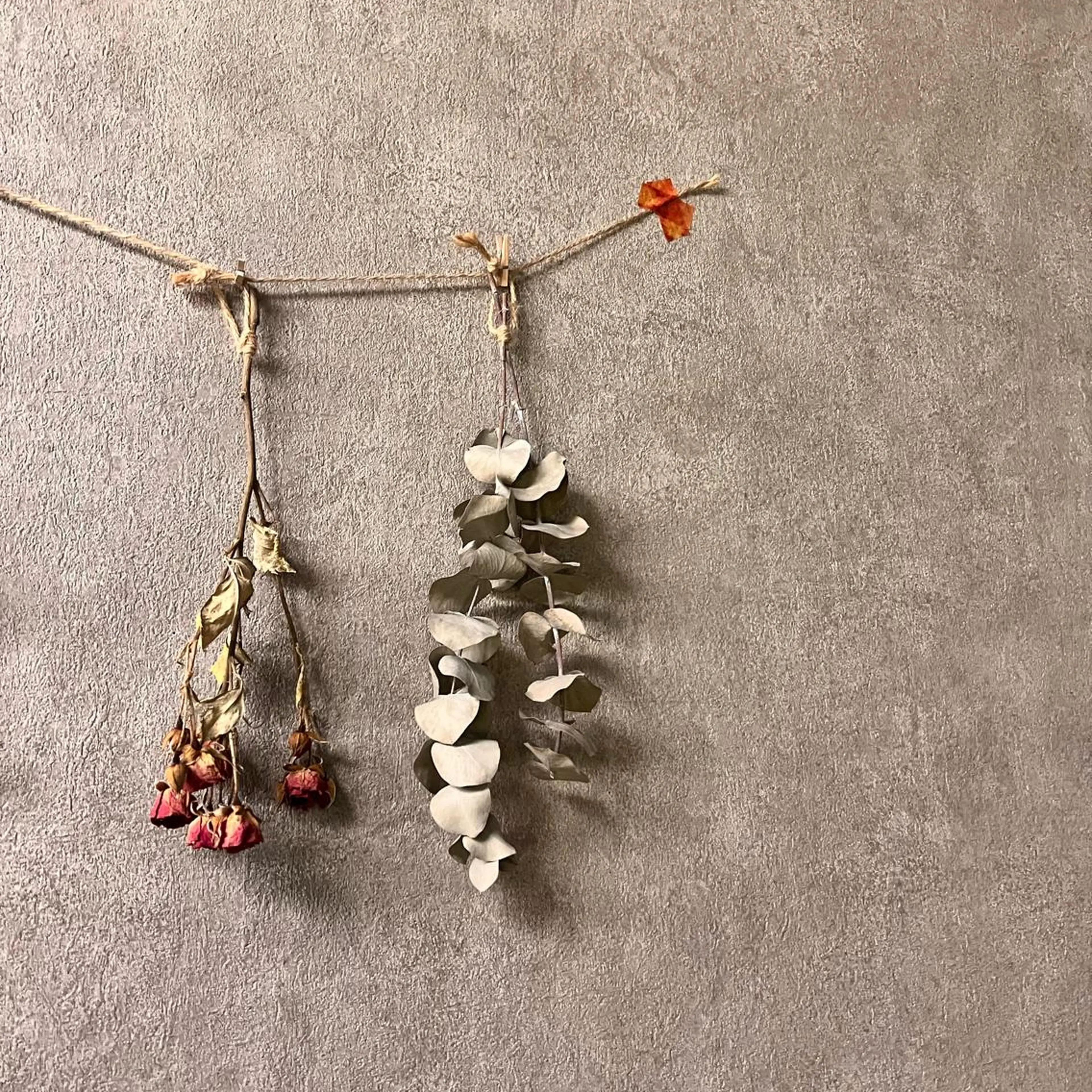 〈ネイルをお休みされる方〉オフコース（ケア付）🌿の写真