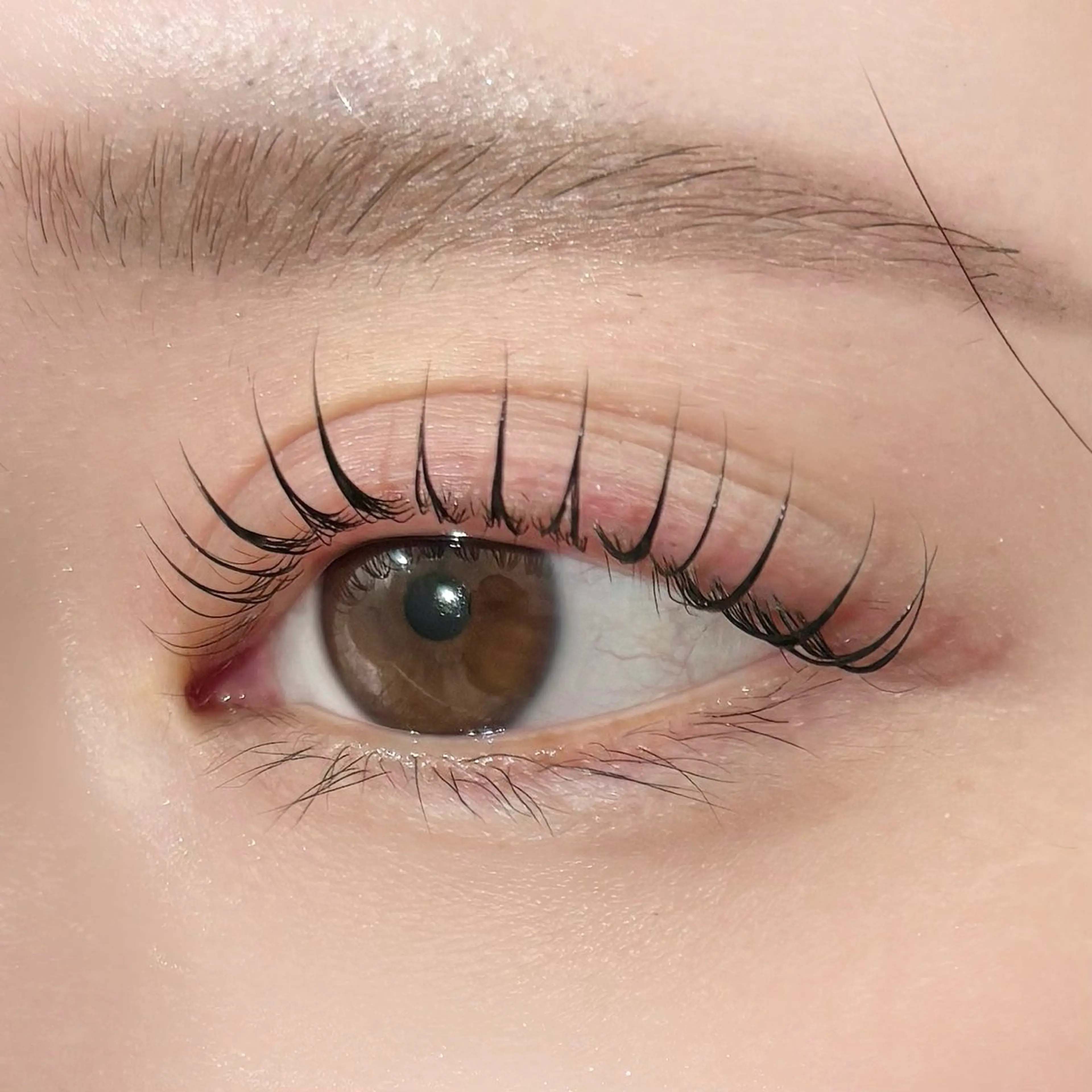 マツエク・マツパ マツパ saki🌱名駅/ まつ毛パーマ/眉毛のマツエク・マツパデザイン