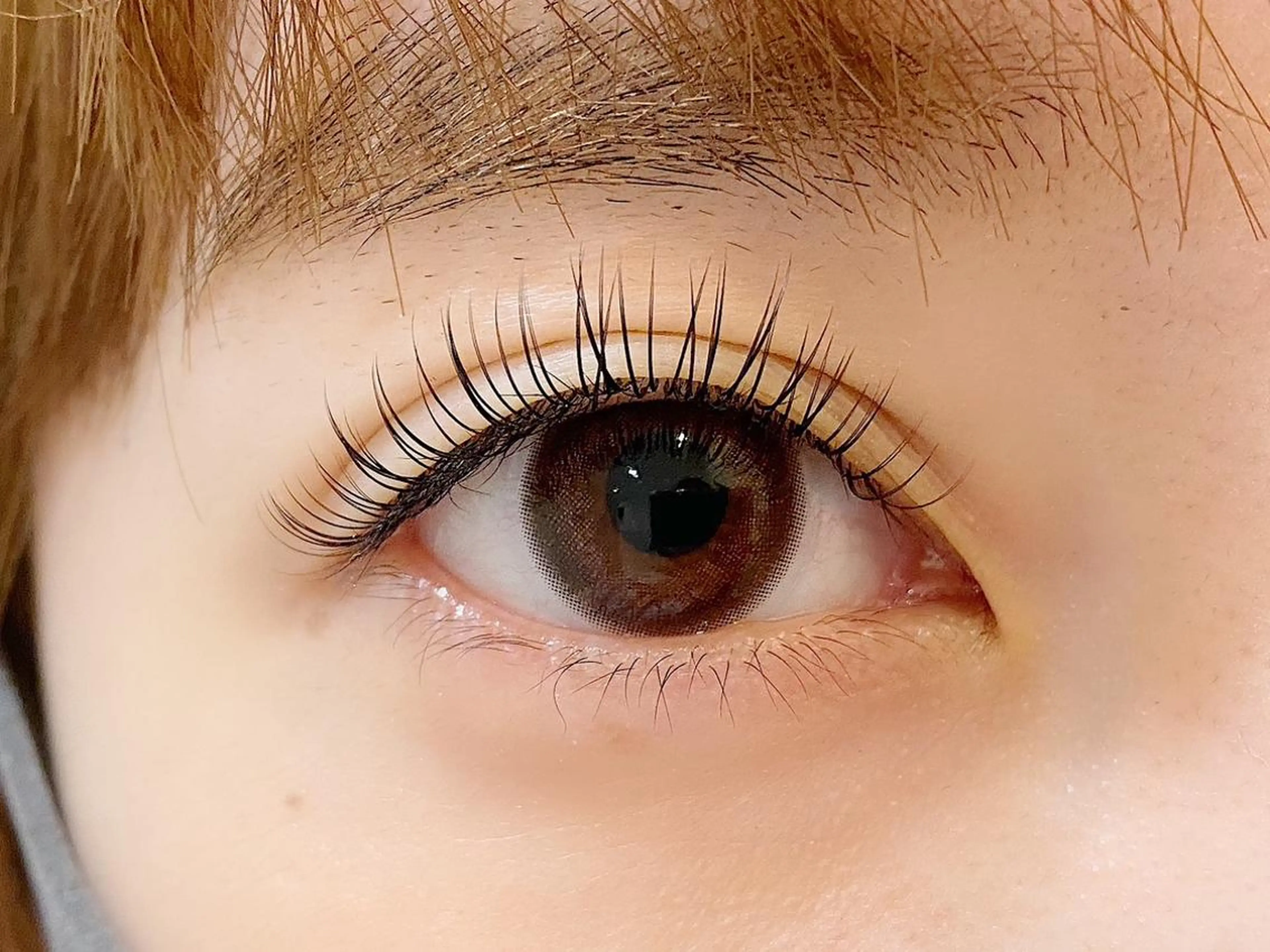 マツエク・マツパ AnD'GRACE 竹中の眉毛・アイブロウイメージ