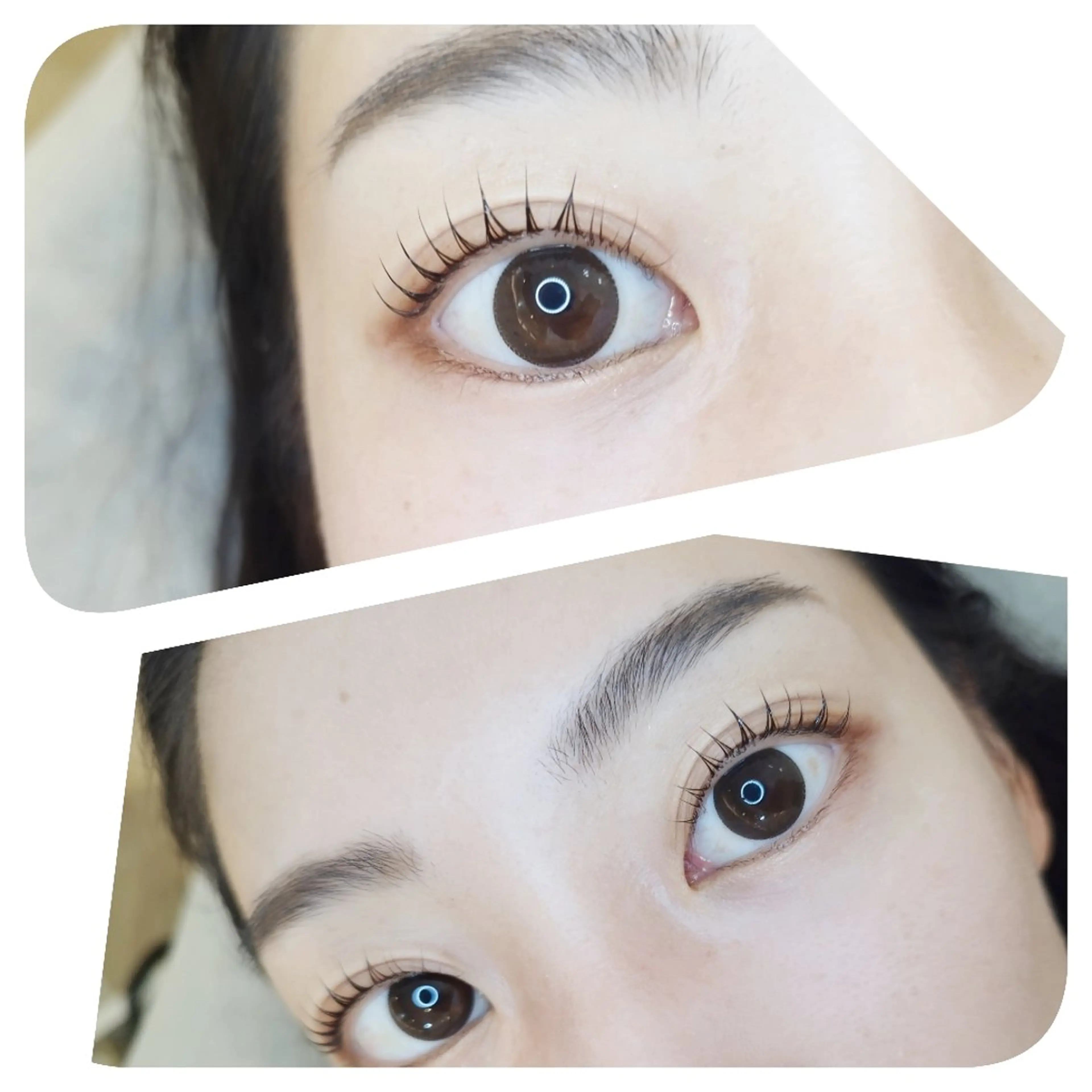 マツエク・マツパ パリジェンヌラッシュリフト まつ毛と眉毛の専門店 jewel　天王寺店のマツエク・マツパデザイン