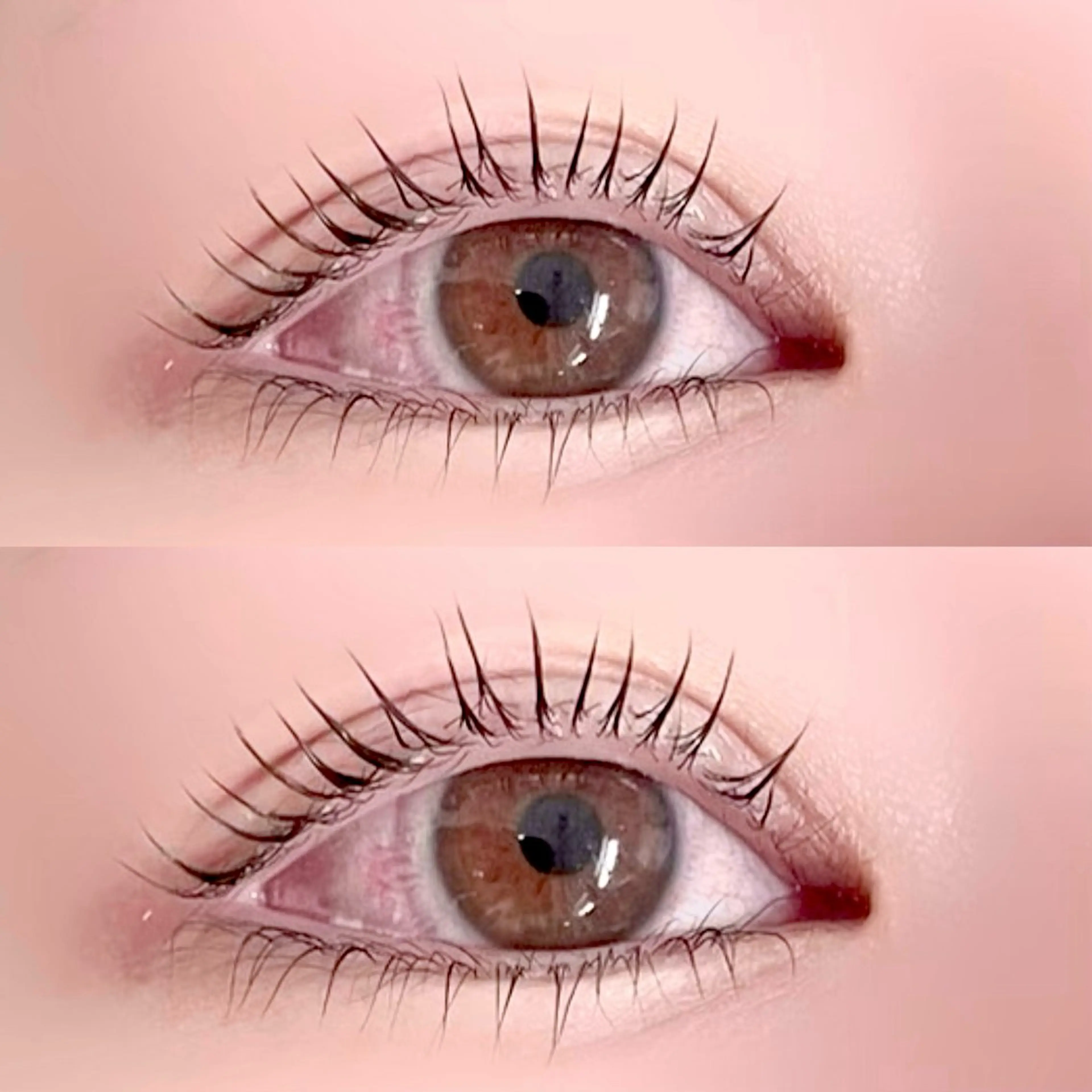 🦋トリートメント仕上げ💎まつ毛パーマ［上下］目の縦幅大きくしたい方 金町/松戸/亀有の写真