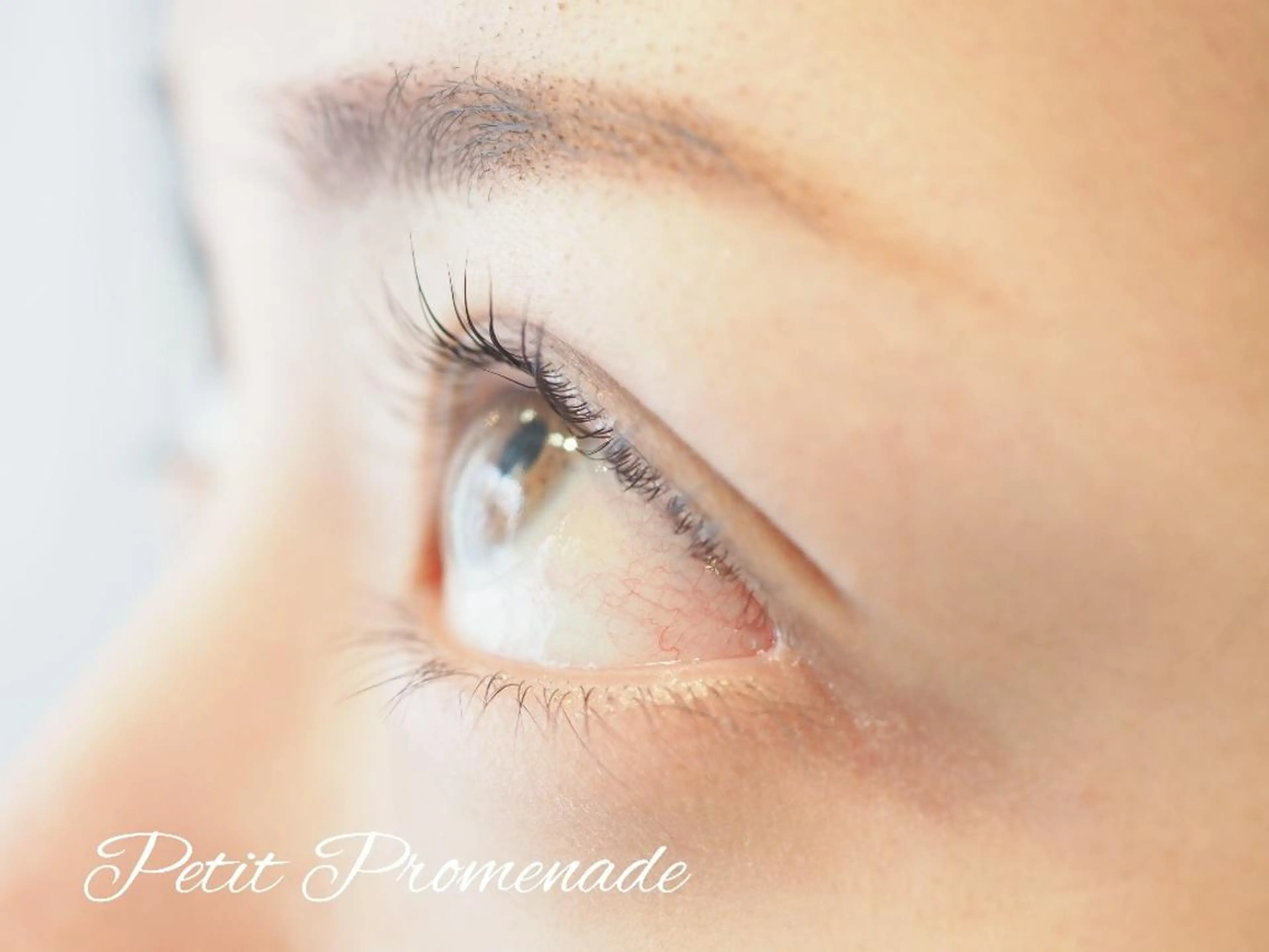 ◆ご新規様限定◆次世代まつげパーマ パリジェンヌラッシュリフト(ケラチントリートメント、コーティング付)の写真