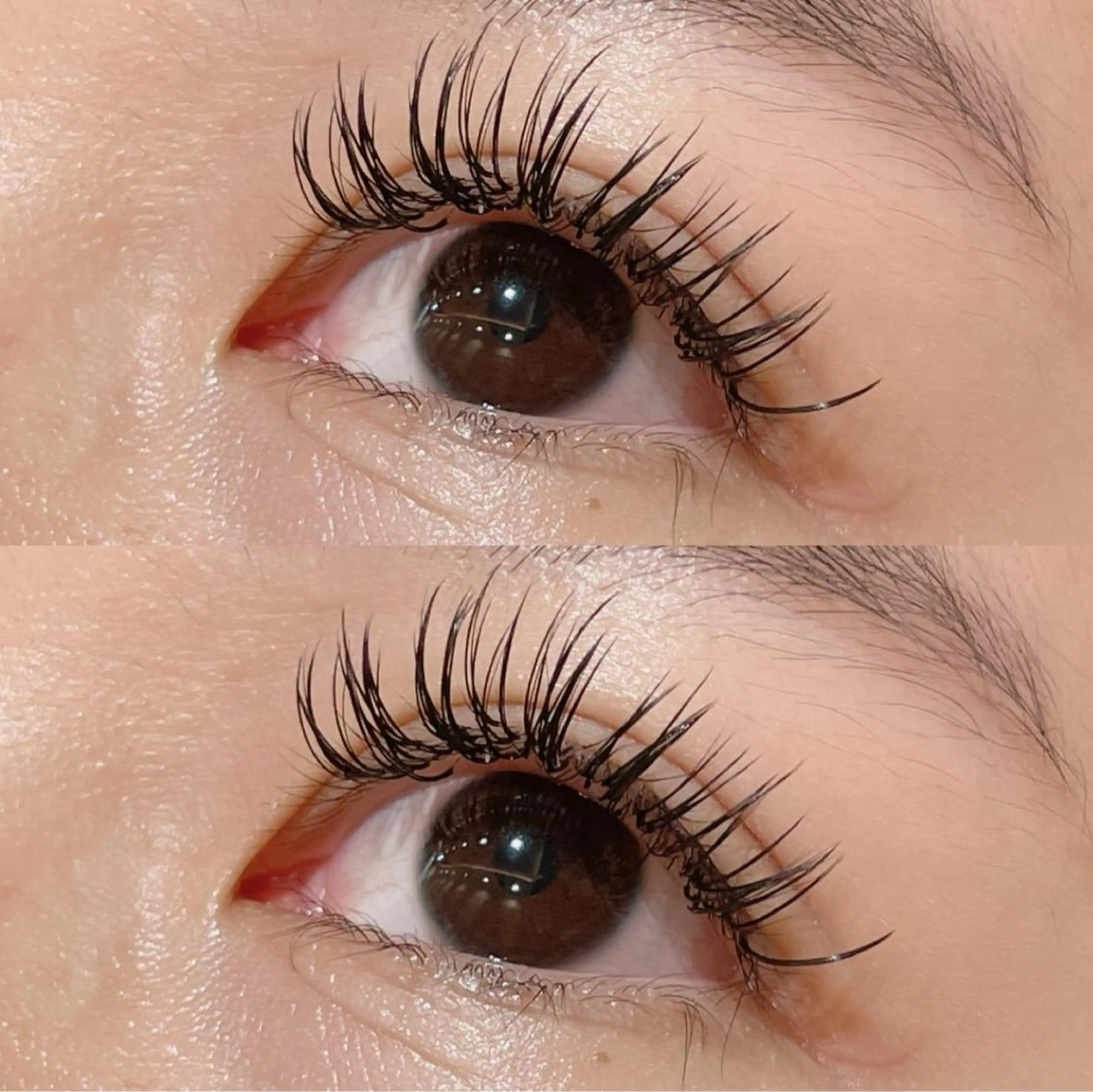 マツエク・マツパ Dカール マツエク yoshie🕯️ 新宿/まつ毛パーマのマツエク・マツパデザイン