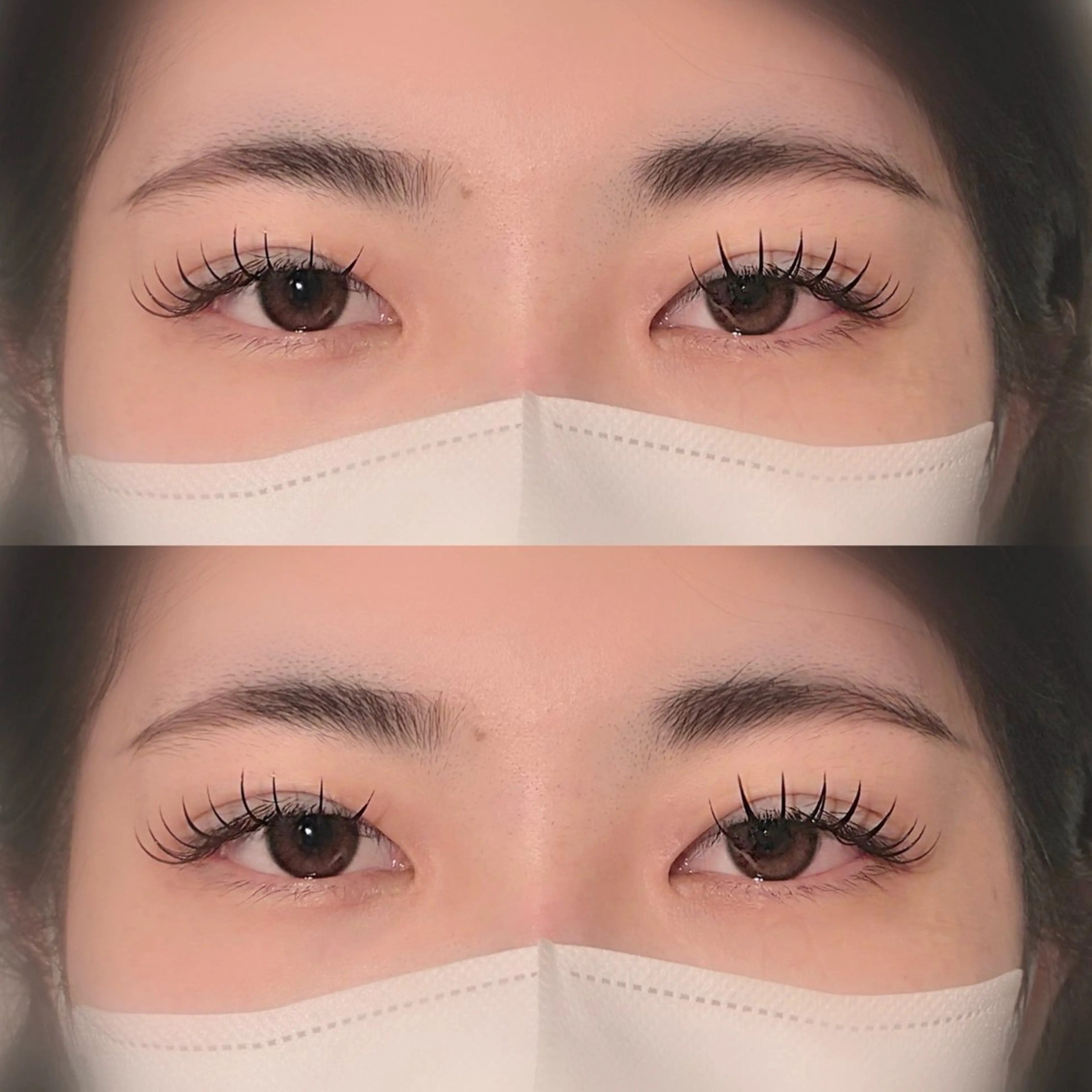 《バインドロック60束（120本）》　　　　　　　　　　　【2回目以降➕1000円】の写真