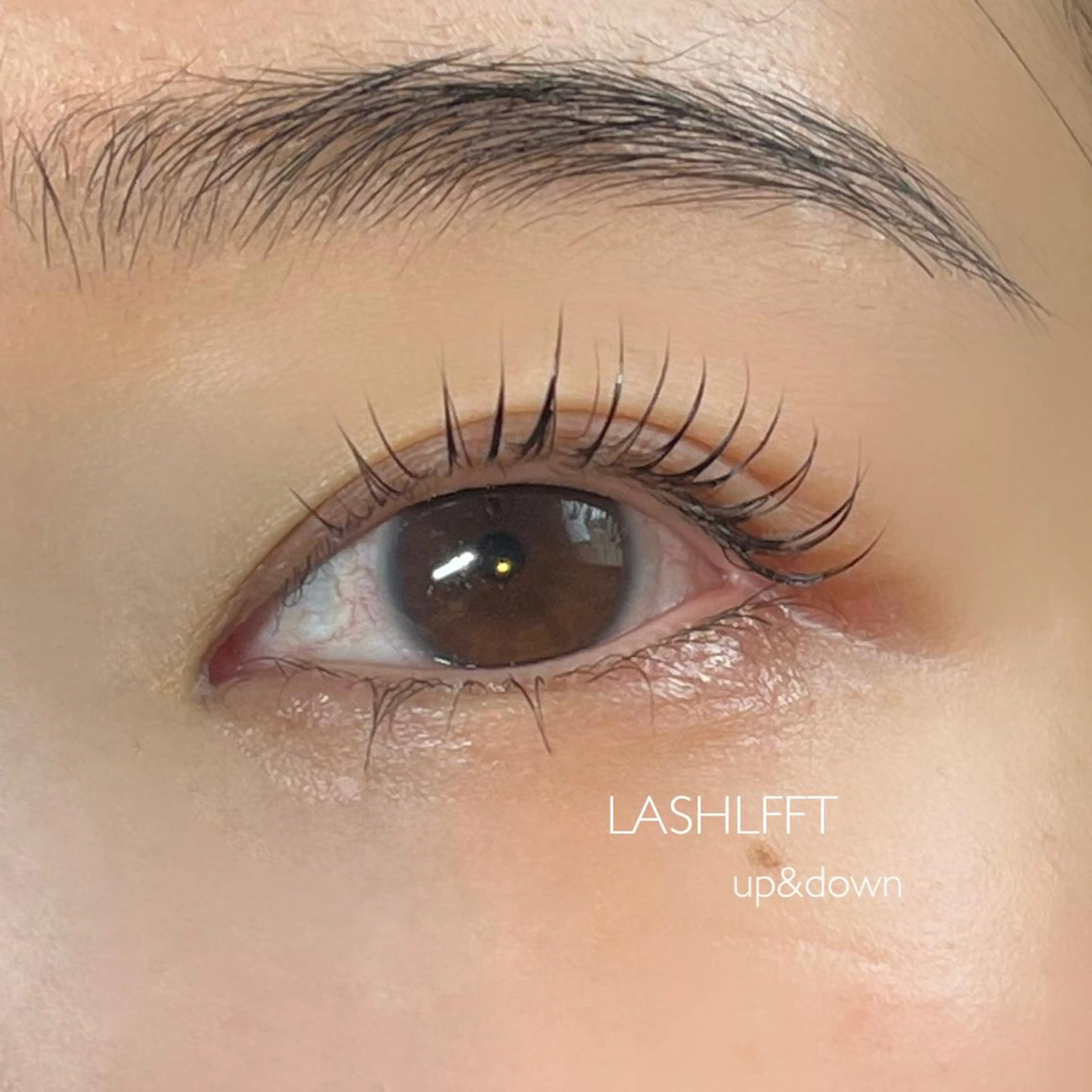 🌷‪𓈒 𓂂𓏸ラッシュリフトorパリジェンヌ《上下》【仕上げのコーティング付き】の写真