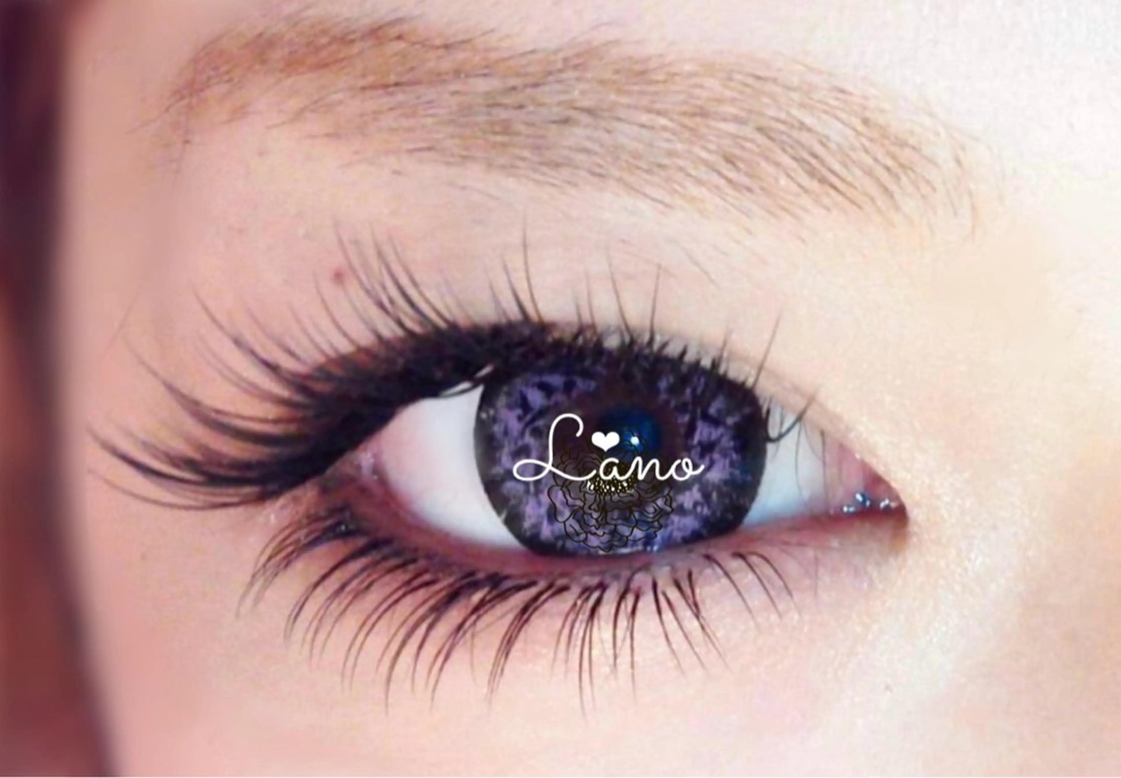 持続力UP🤩バインドロック/ダブルフラット【上１７０束＆下４０束】オフ込の写真