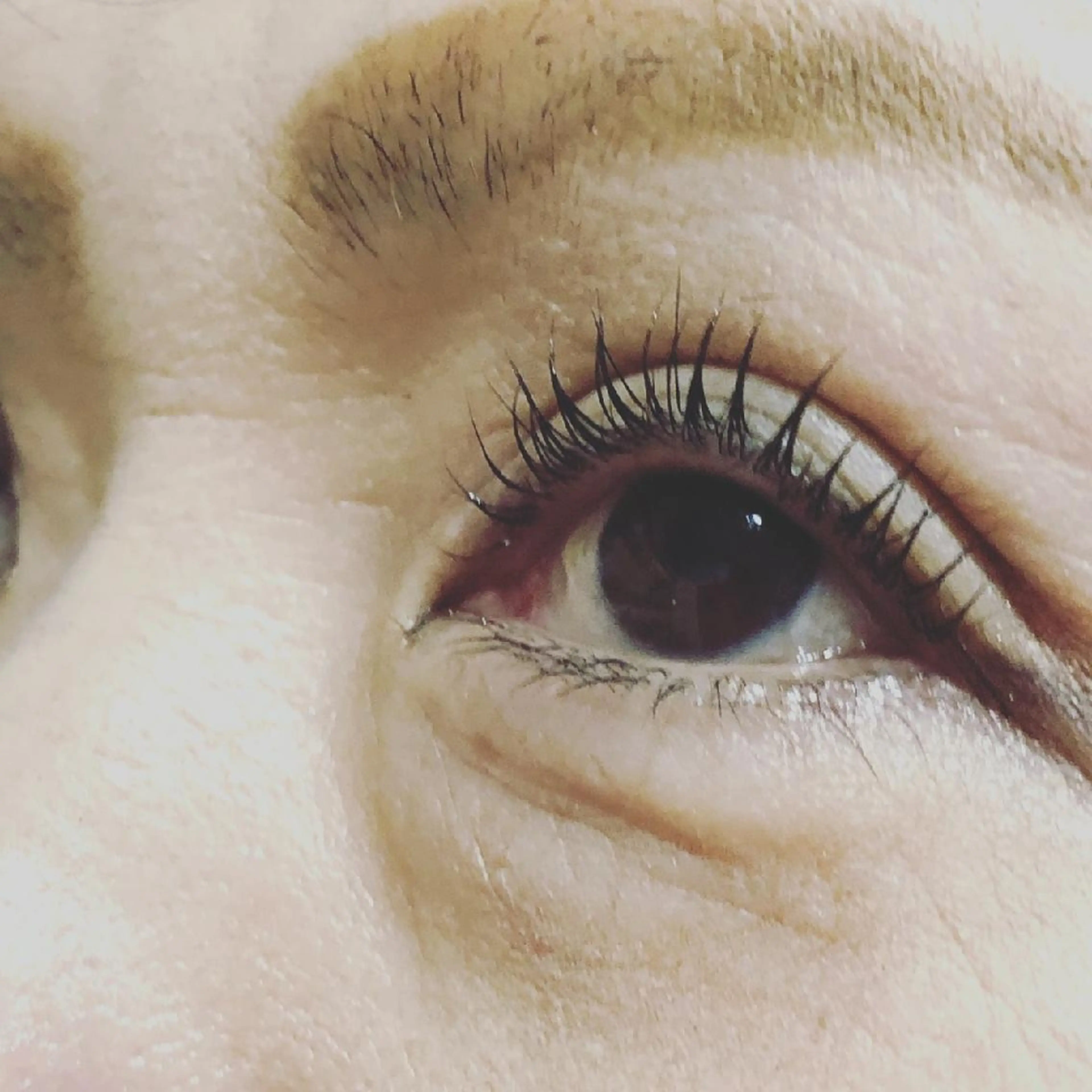 マツエク・マツパ 一重×まつ毛パーマ 💡次世代LED -TIARA💡のマツエク・マツパデザイン