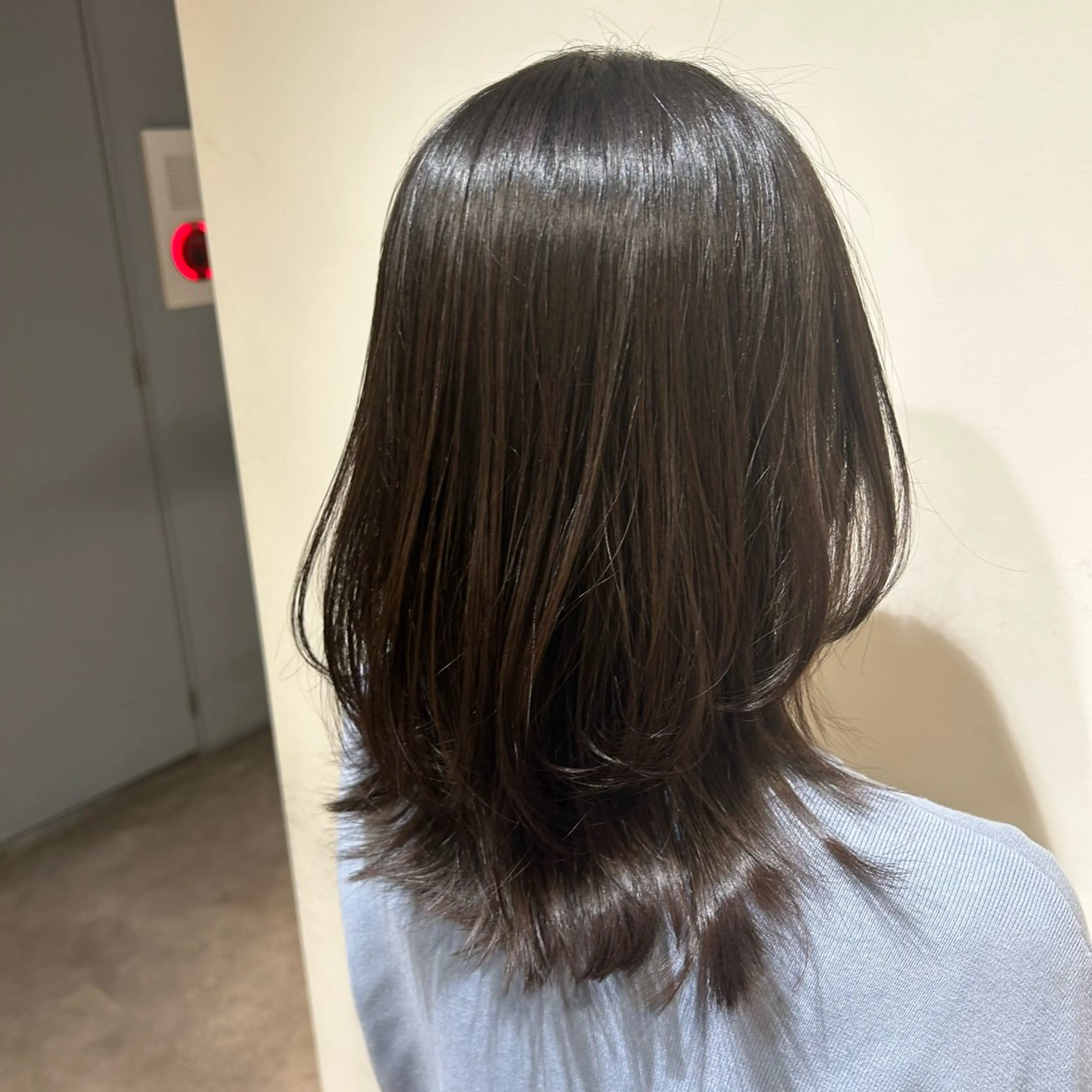 セミロング カラー ヘアアレンジ レイヤーカット 👒oikawa kaede🍃のヘアスタイル