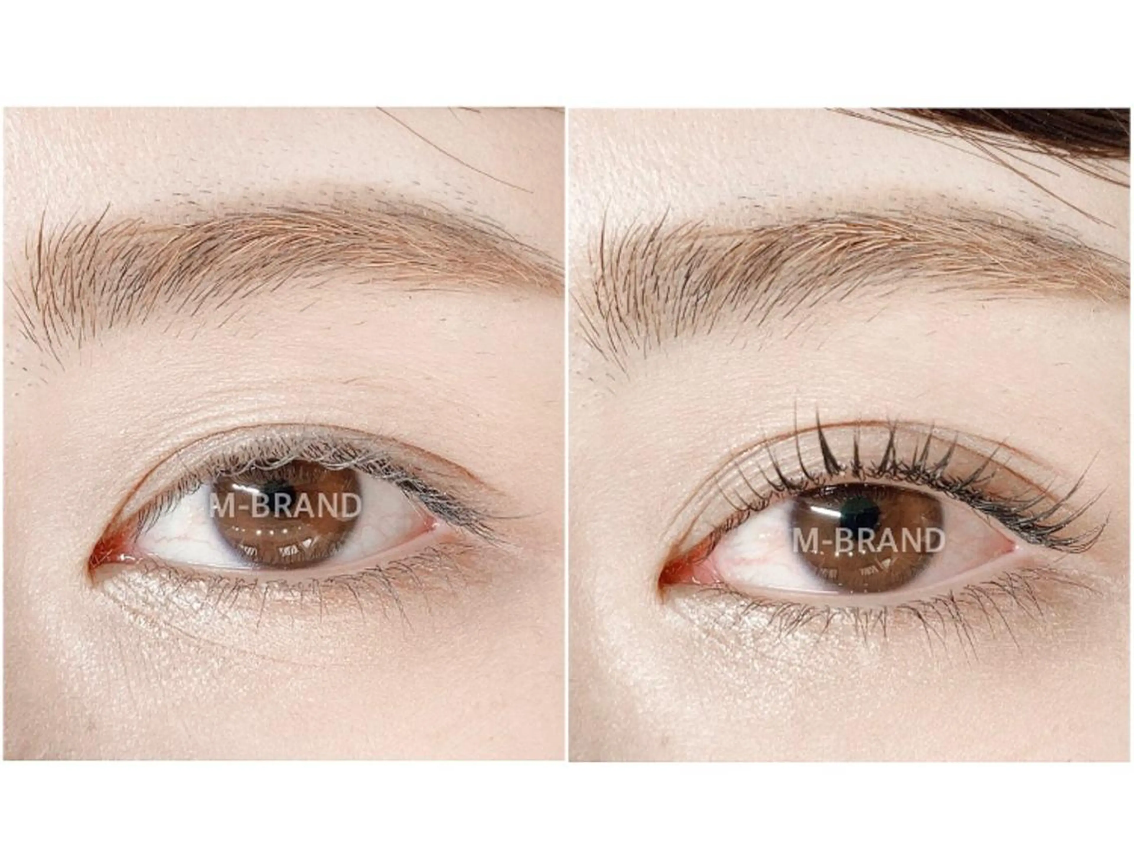 マツエク・マツパ パリジェンヌラッシュリフト エクスキャンベル本店所属・エクスキャンベル 本店のマツエク・マツパデザイン