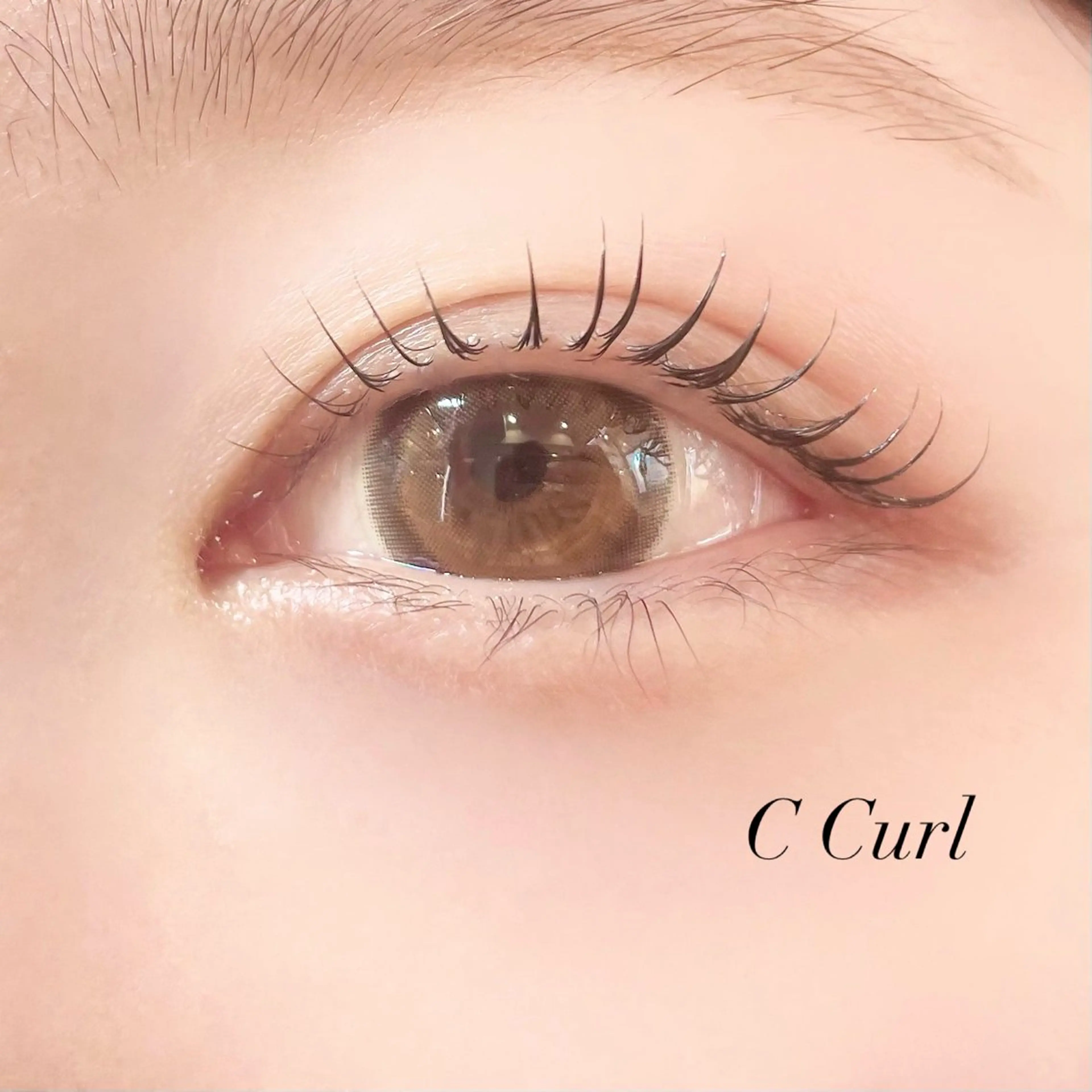 マツエク・マツパ Cカール マツパ Pupu lash ‪ ꪔ̤のマツエク・マツパデザイン