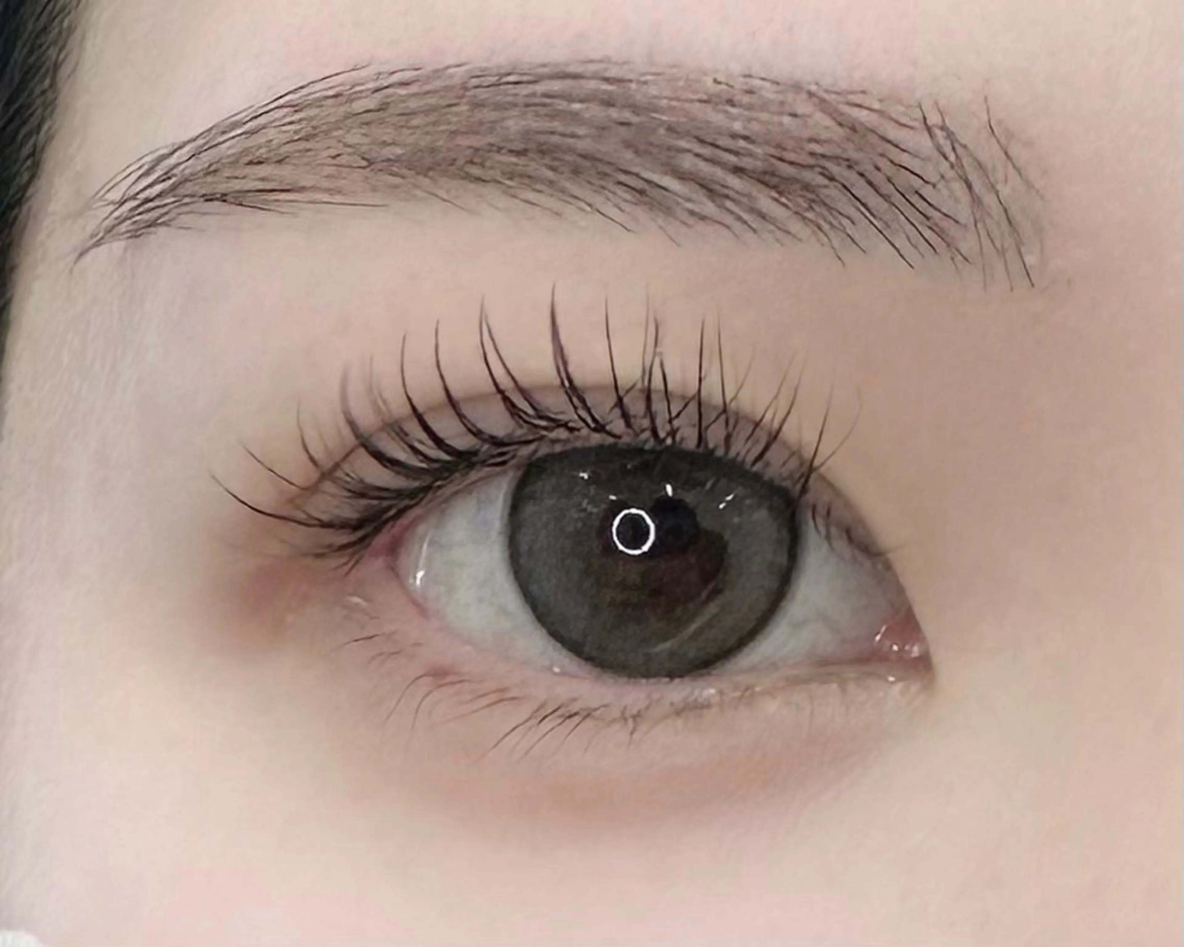 マツエク・マツパ templem 🪽shinoのマツエク・マツパデザイン