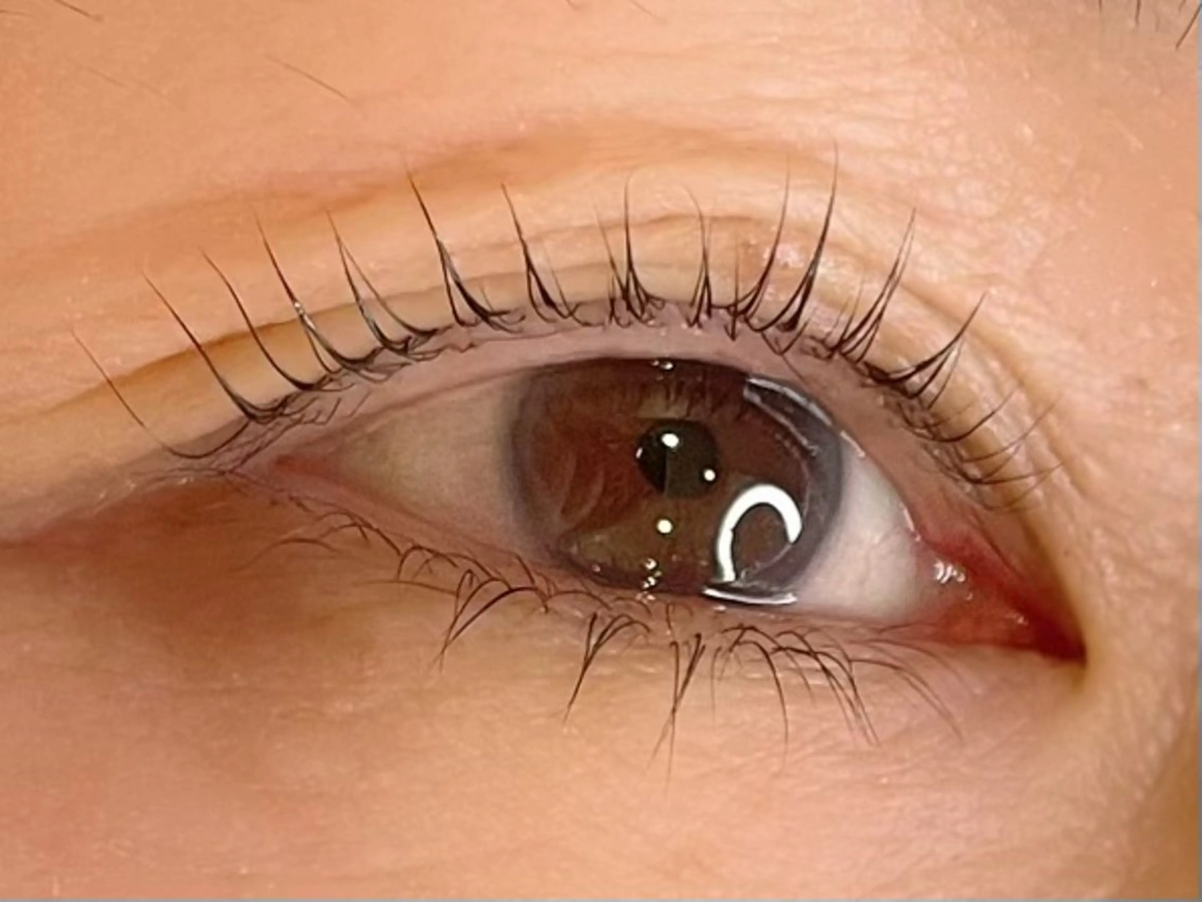 マツエク・マツパ まつげパーマ 下まつげエクステ マツパ 新柏PALS ｍｉｈｏのマツエク・マツパデザイン