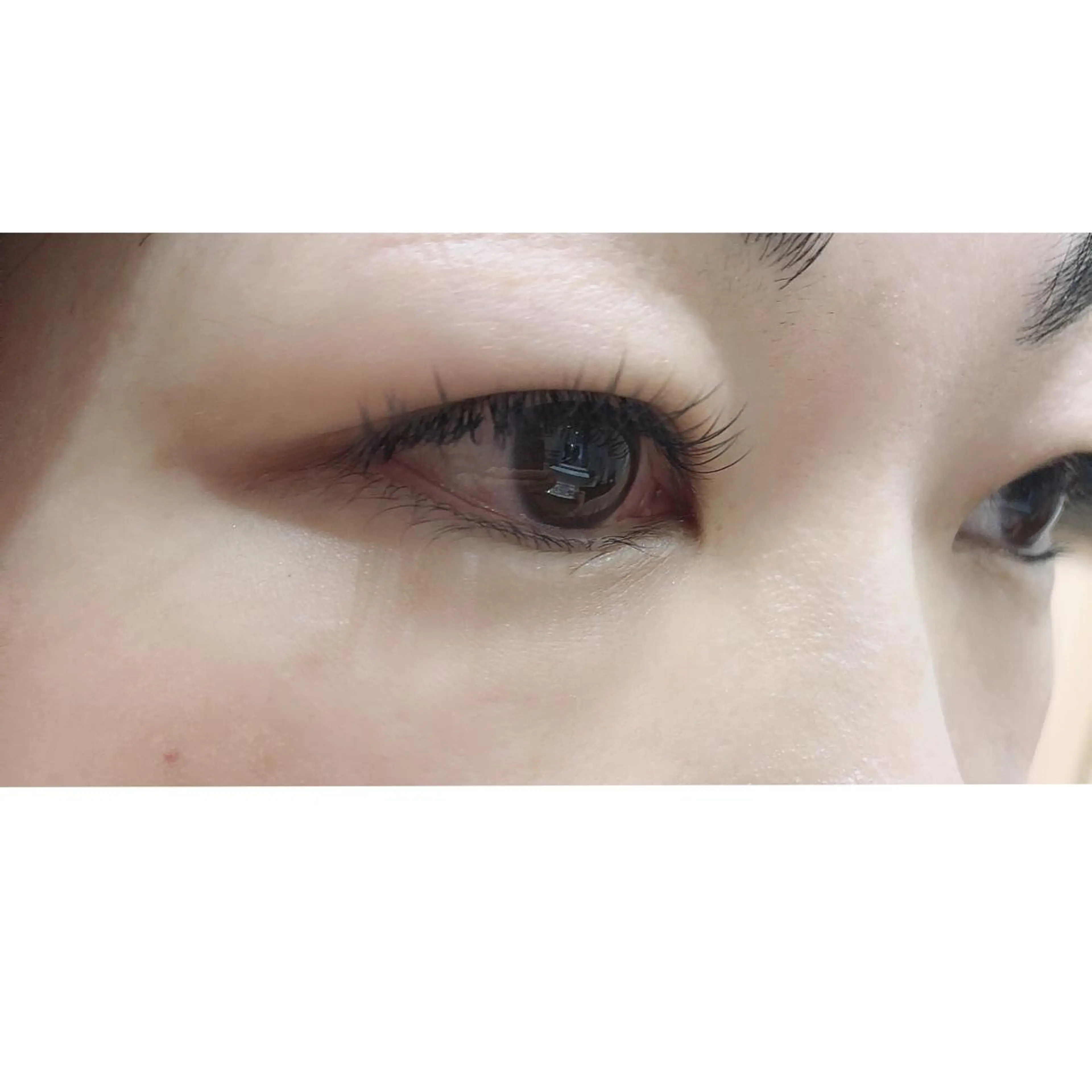マツエク・マツパ フラットラッシュ ナチュラル shoko 。のマツエク・マツパデザイン