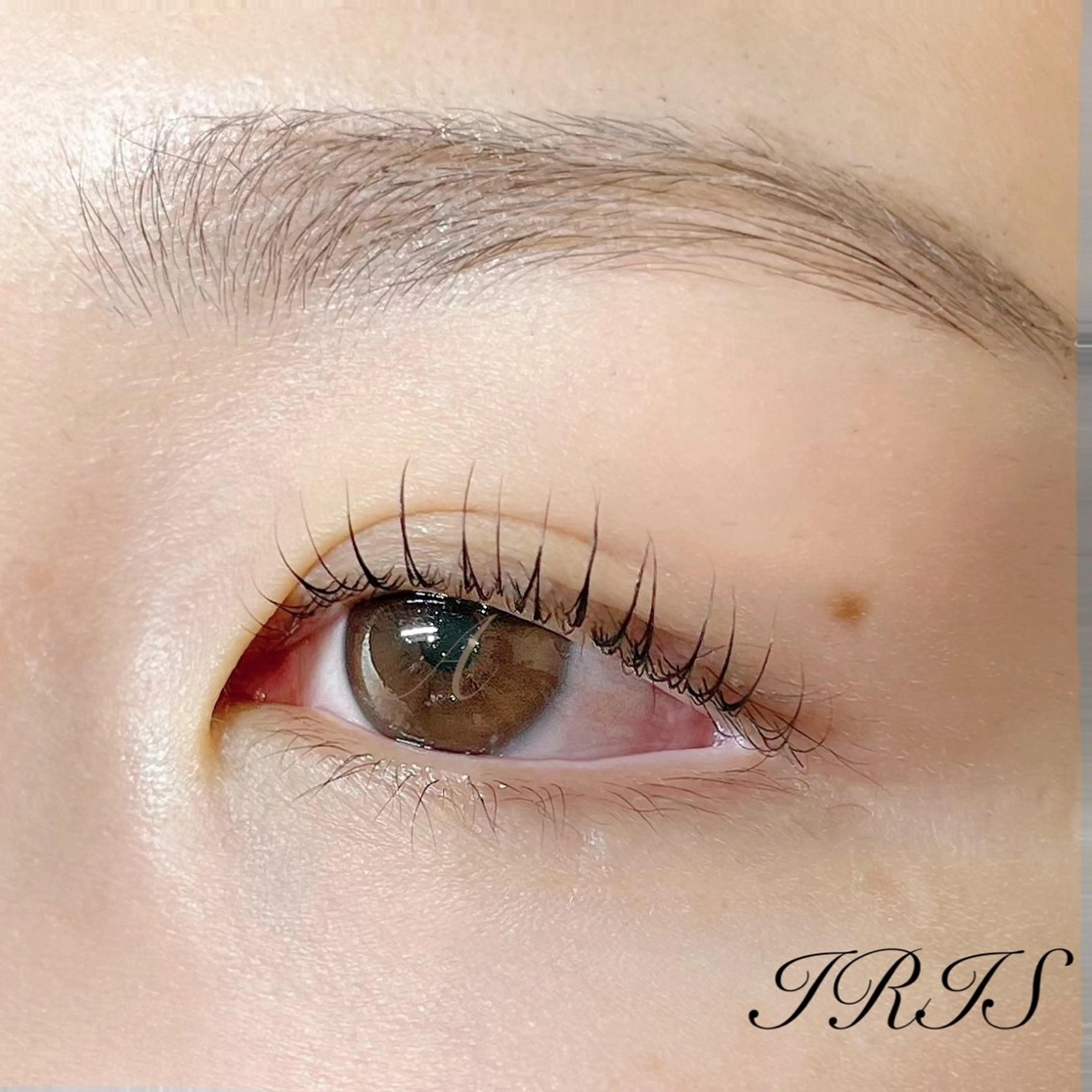 マツエク・マツパ 一重×まつ毛パーマ マツパ IRIS🫧 Ayaのマツエク・マツパデザイン